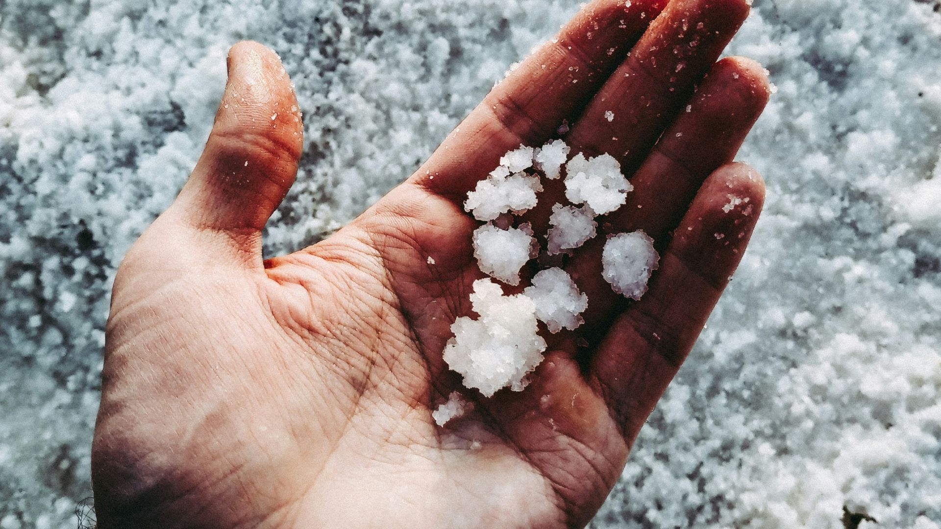 white stones on persons hand