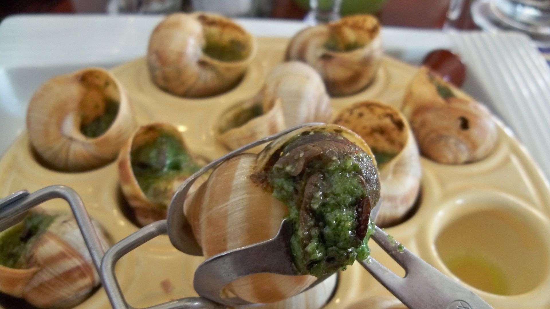 File:Escargots 3.jpg