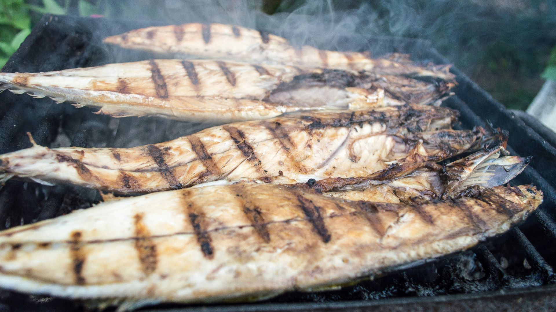 grilled fish