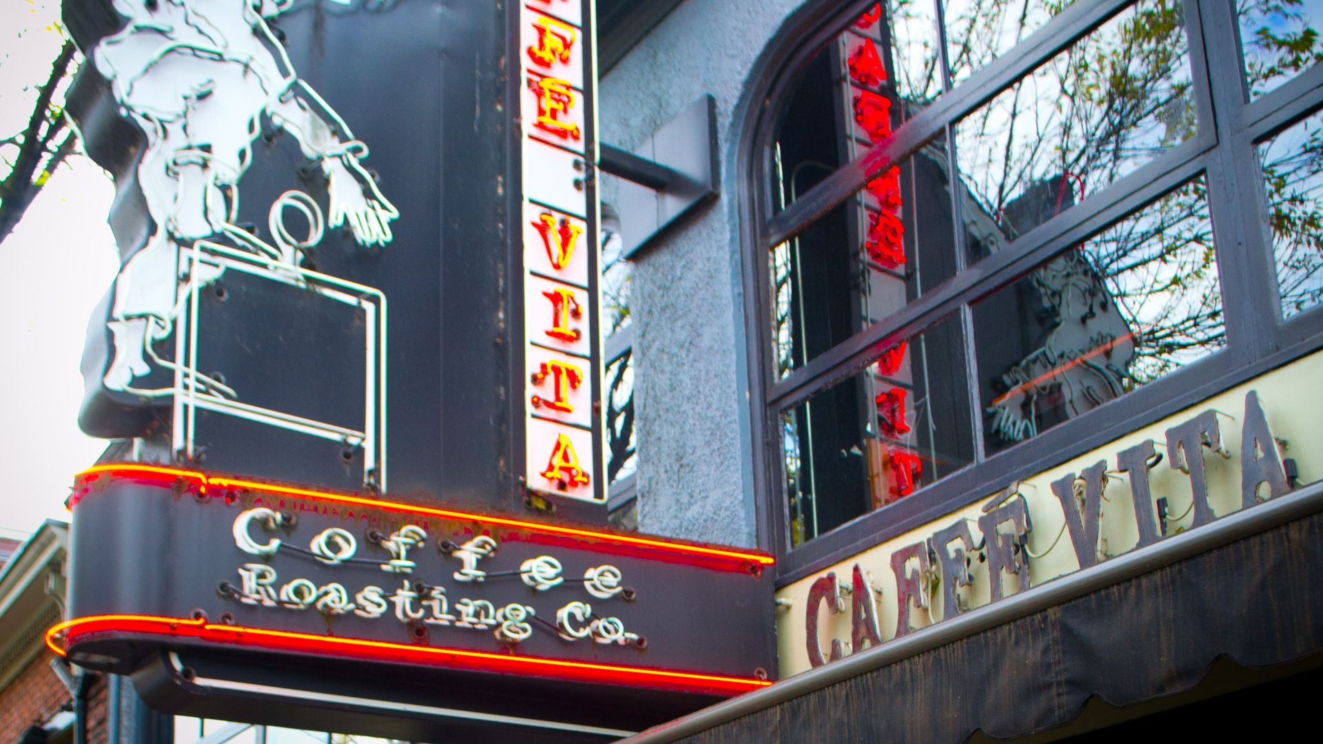 File:Caffe Vita Neon.jpg