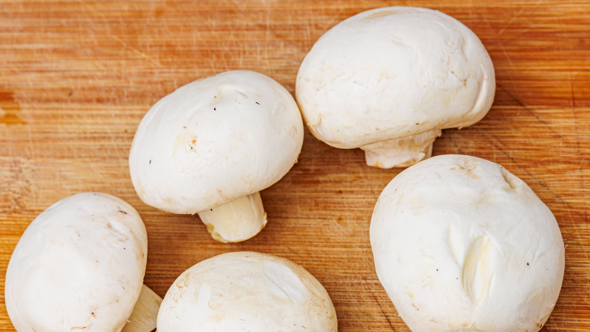 File:WHITE MUSHROOM.jpg