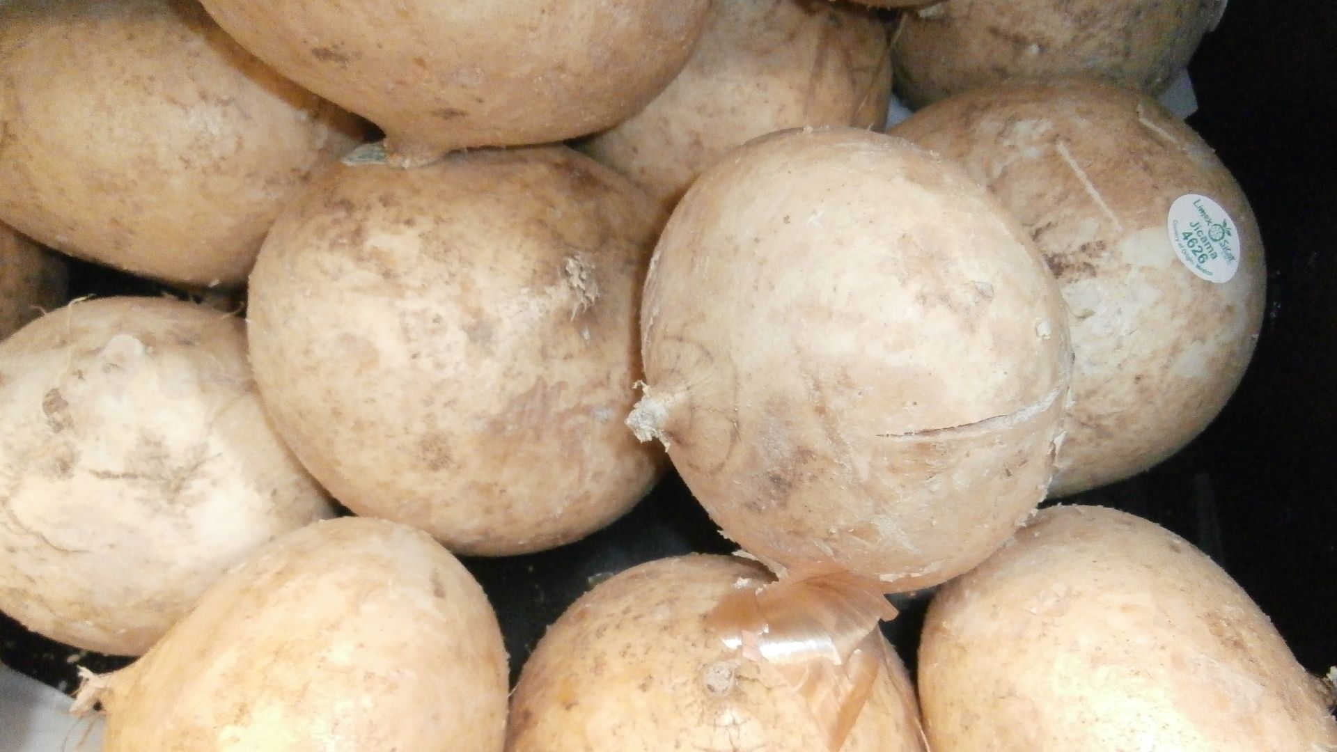 File:Jicama in a bin.jpg