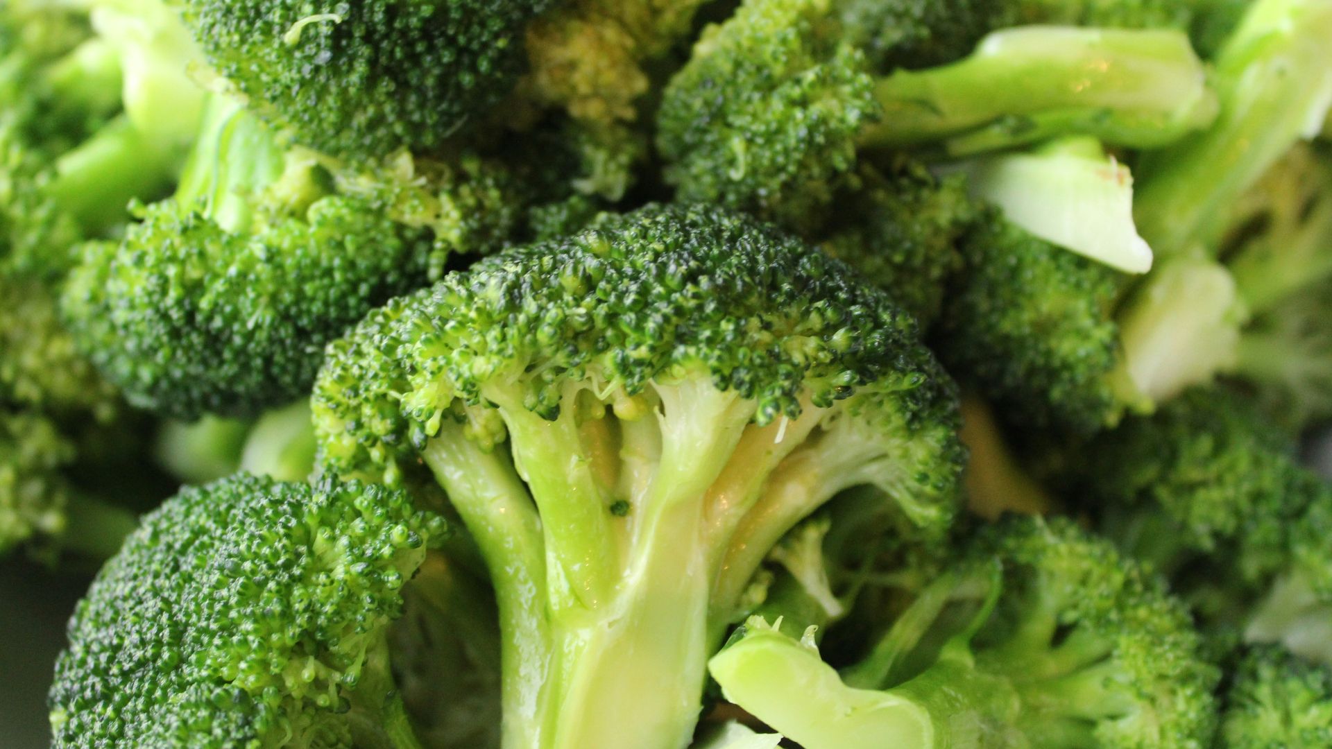 green broccoli on white ceramic plate
