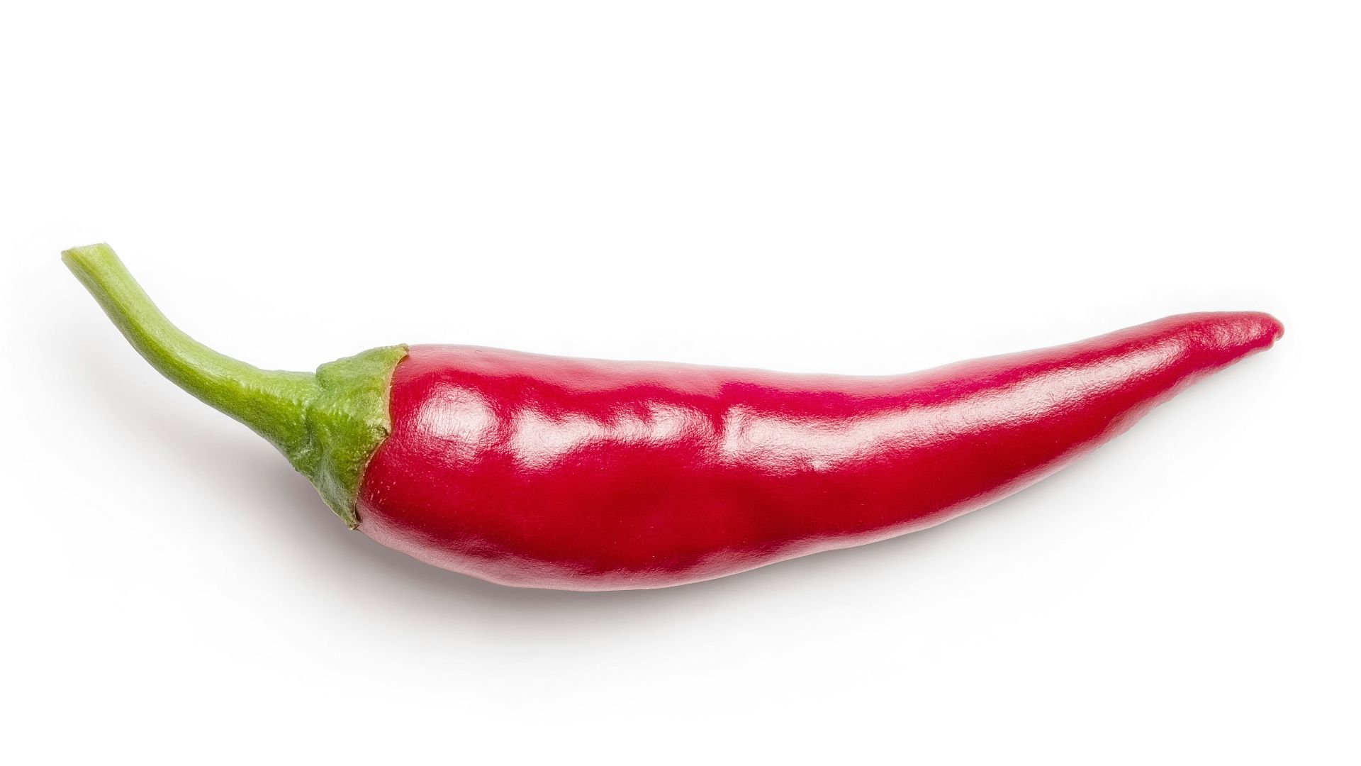 red chili on white background