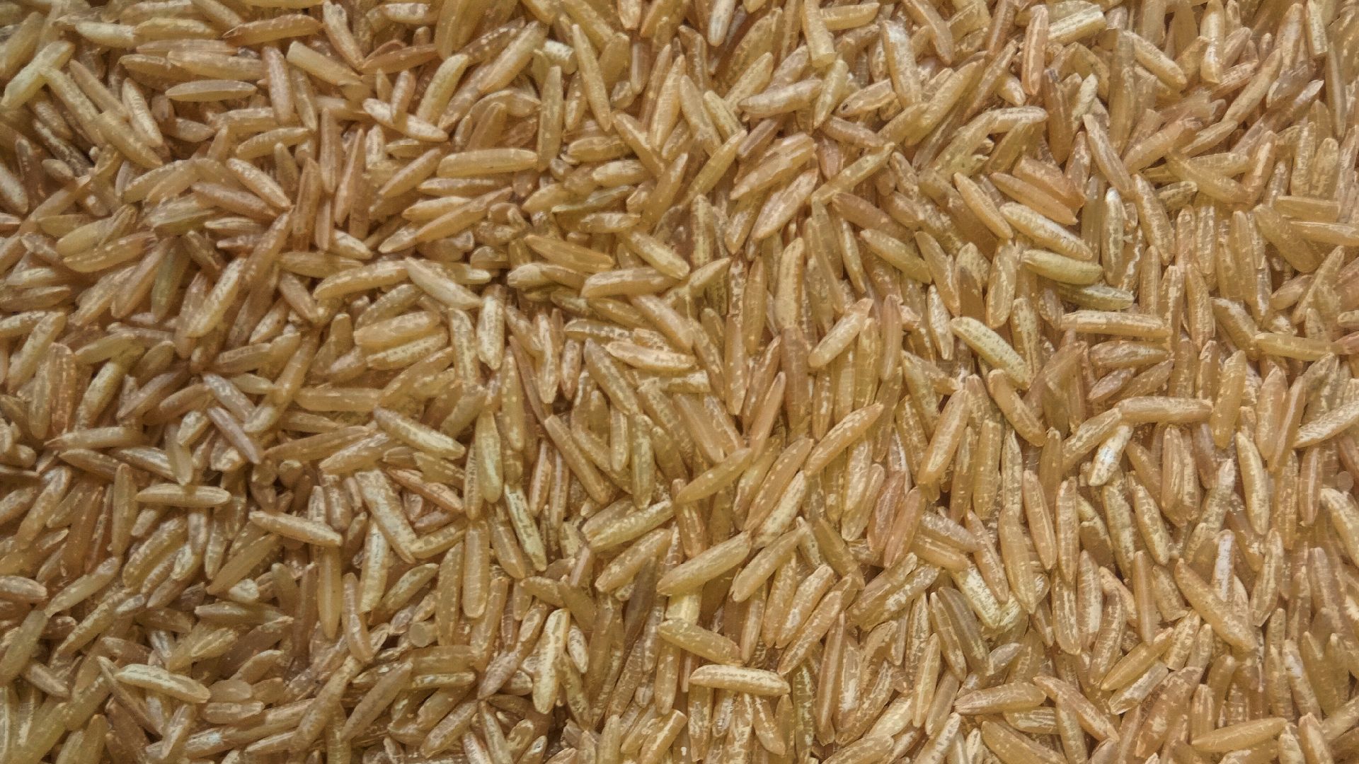 File:Brown rice (whole grain rice) photographed in West Bengal, India.jpg