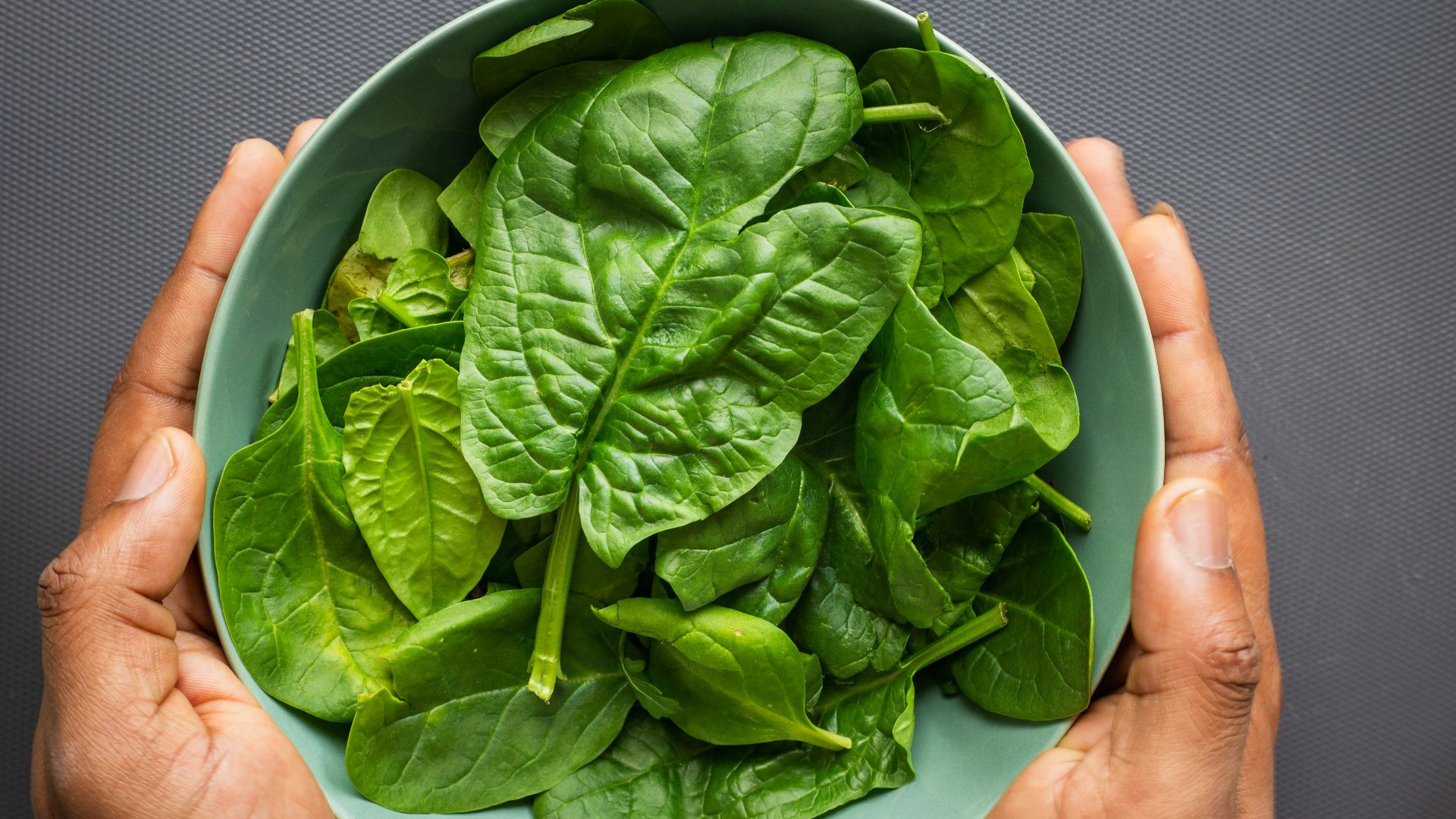 green leaves on blue plastic bowl