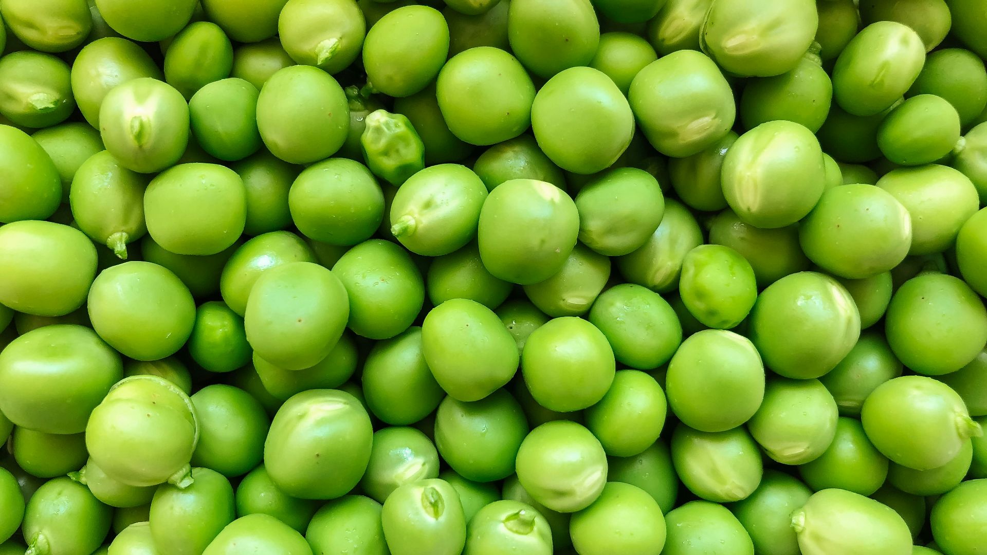 green round fruits in close up photography