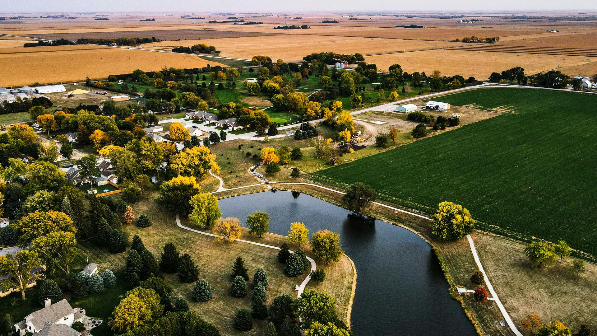 aerial view of green grass field and trees during daytime