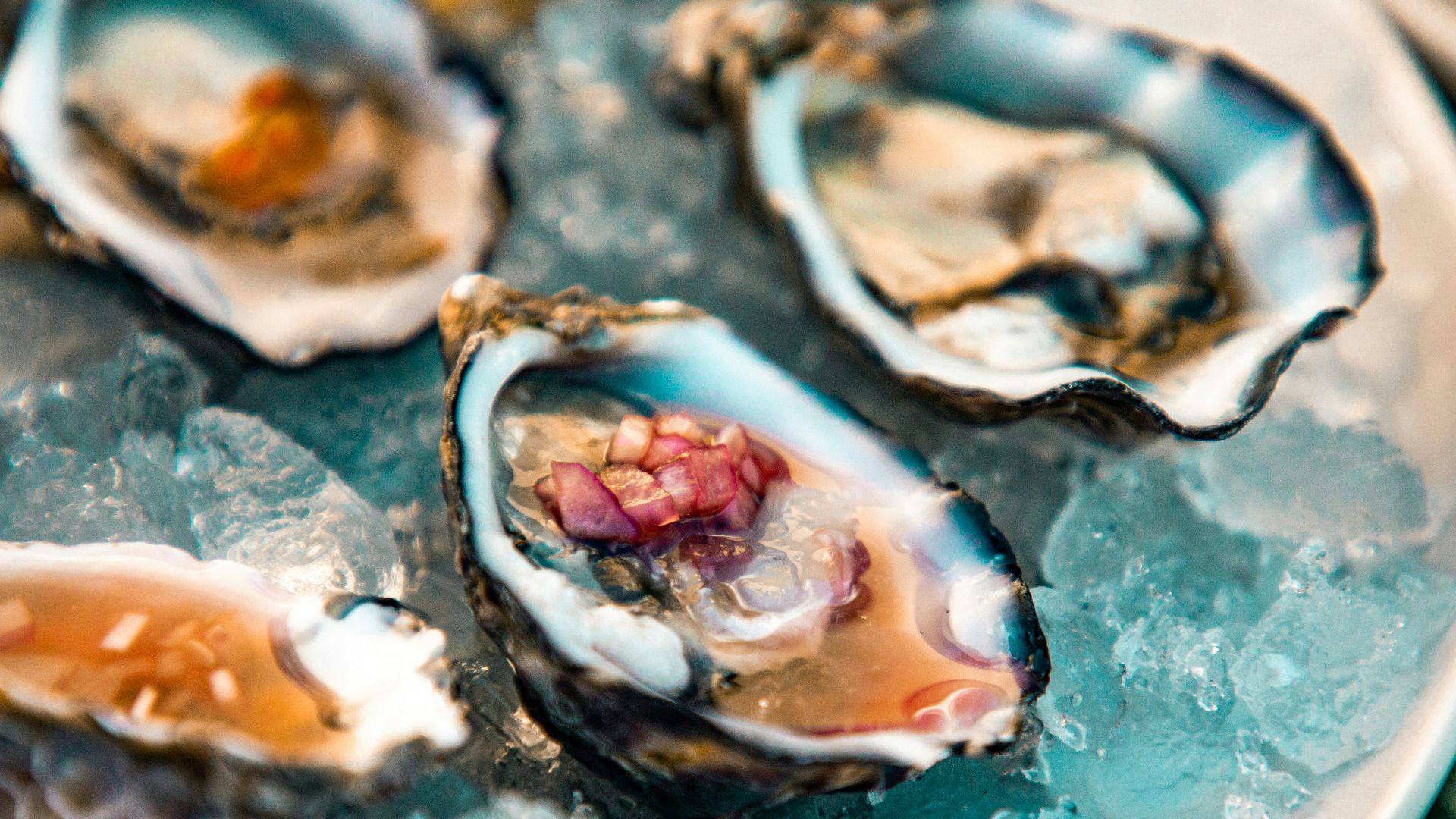 a plate of oysters on ice with lemon wedges