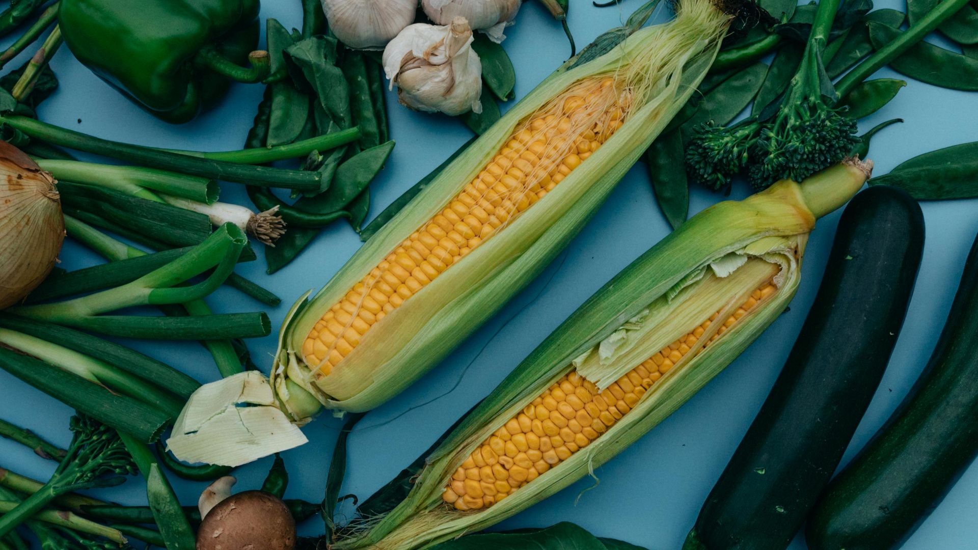 Viktoria  Slowikowska