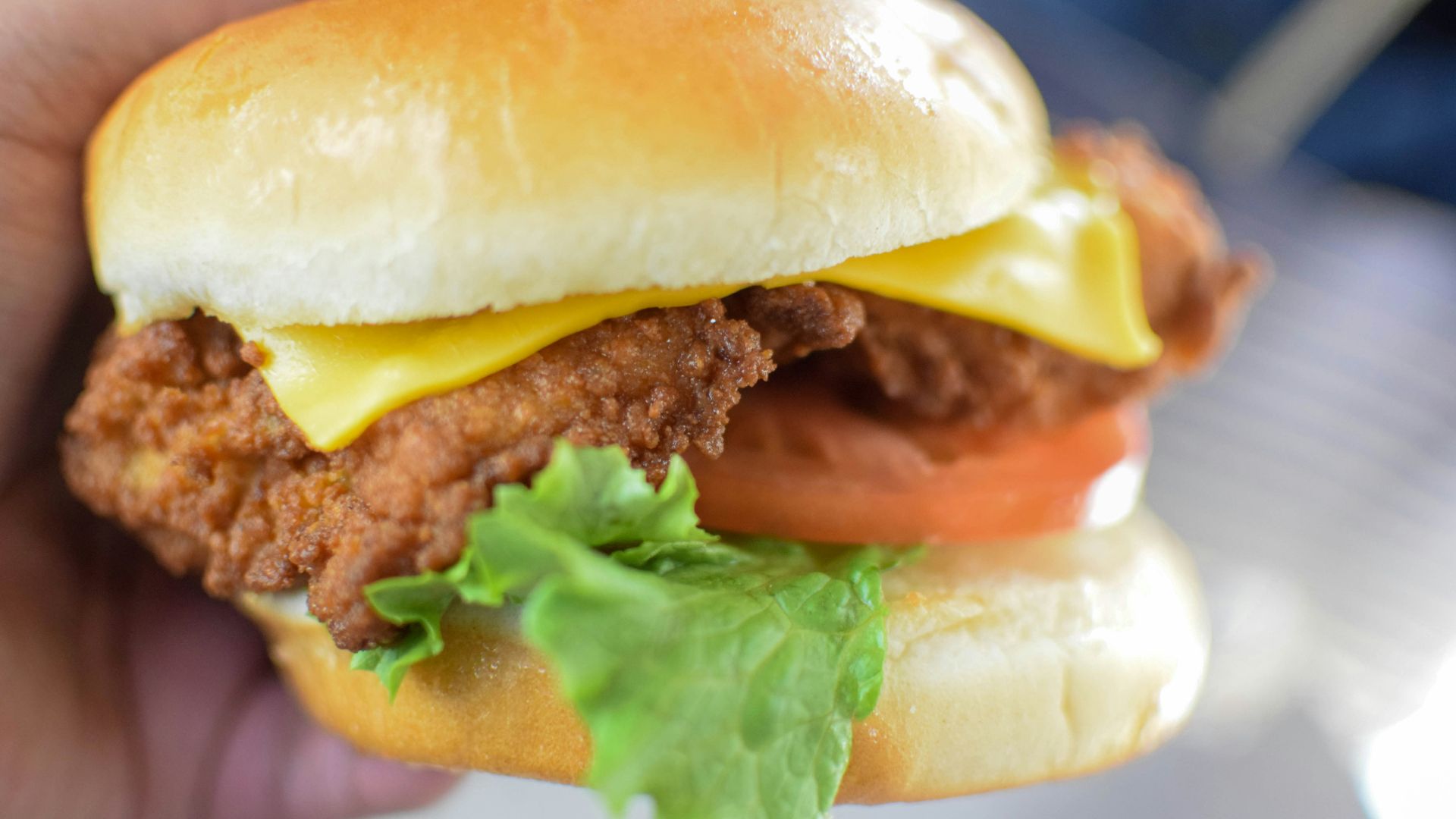 burger with lettuce and tomato