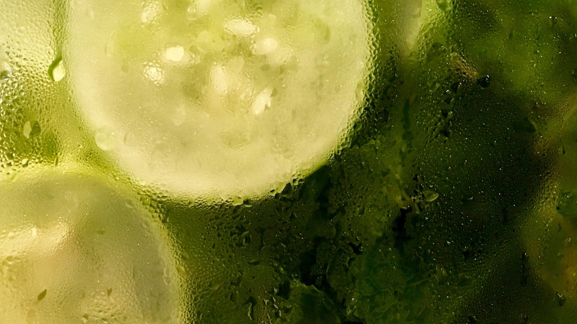 sliced cucumber and green leafy vegetables in container with moist