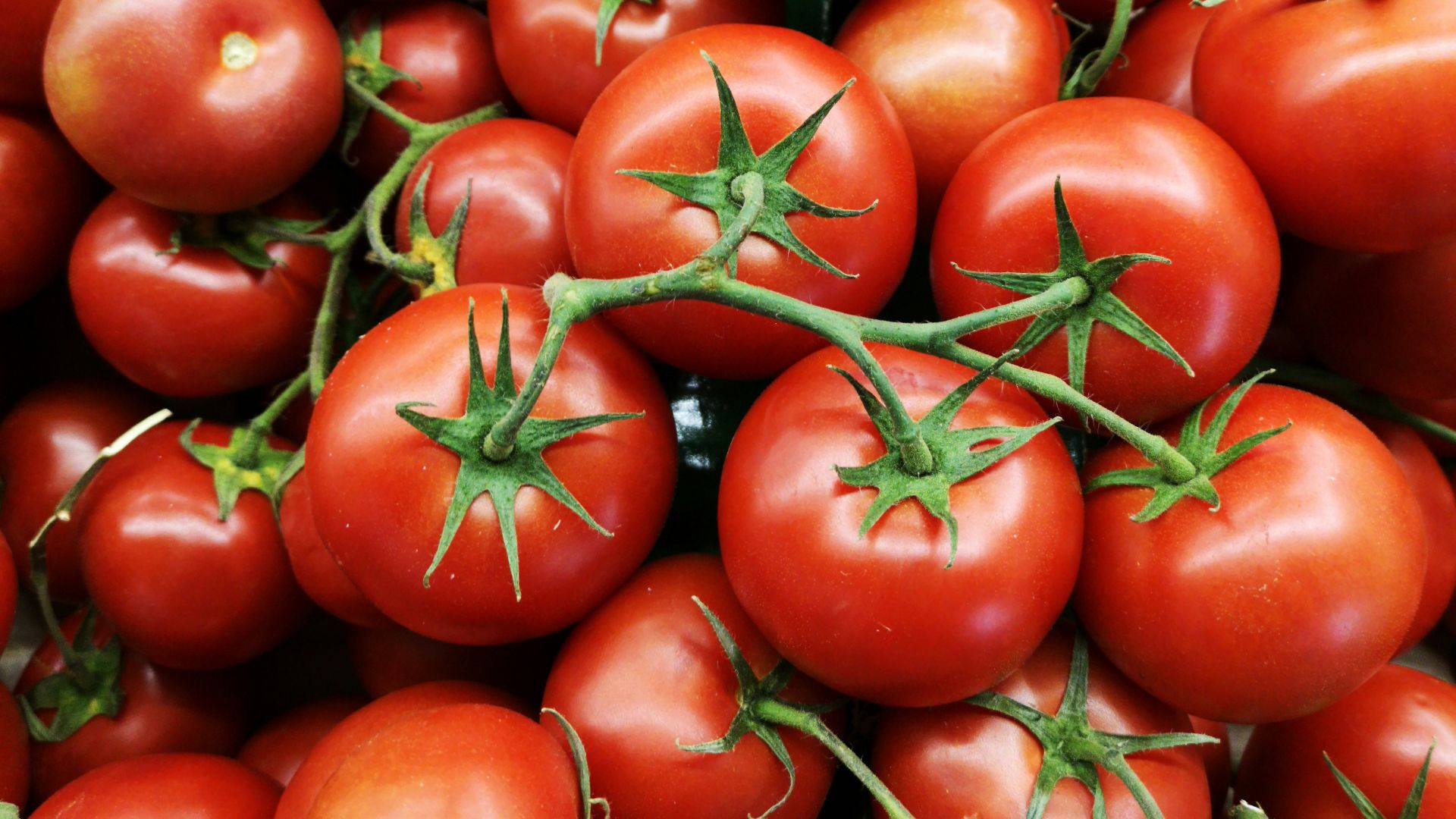 red tomatoes on brown wooden table