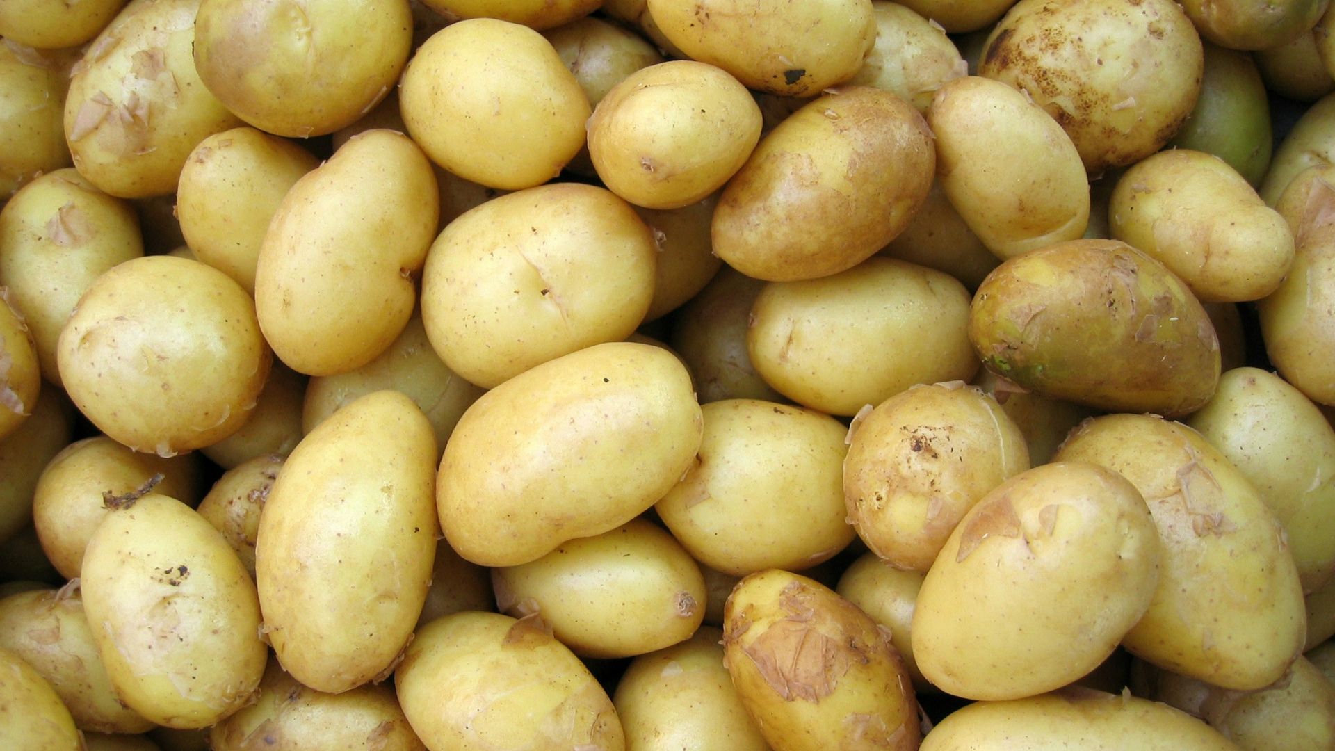 potatoes