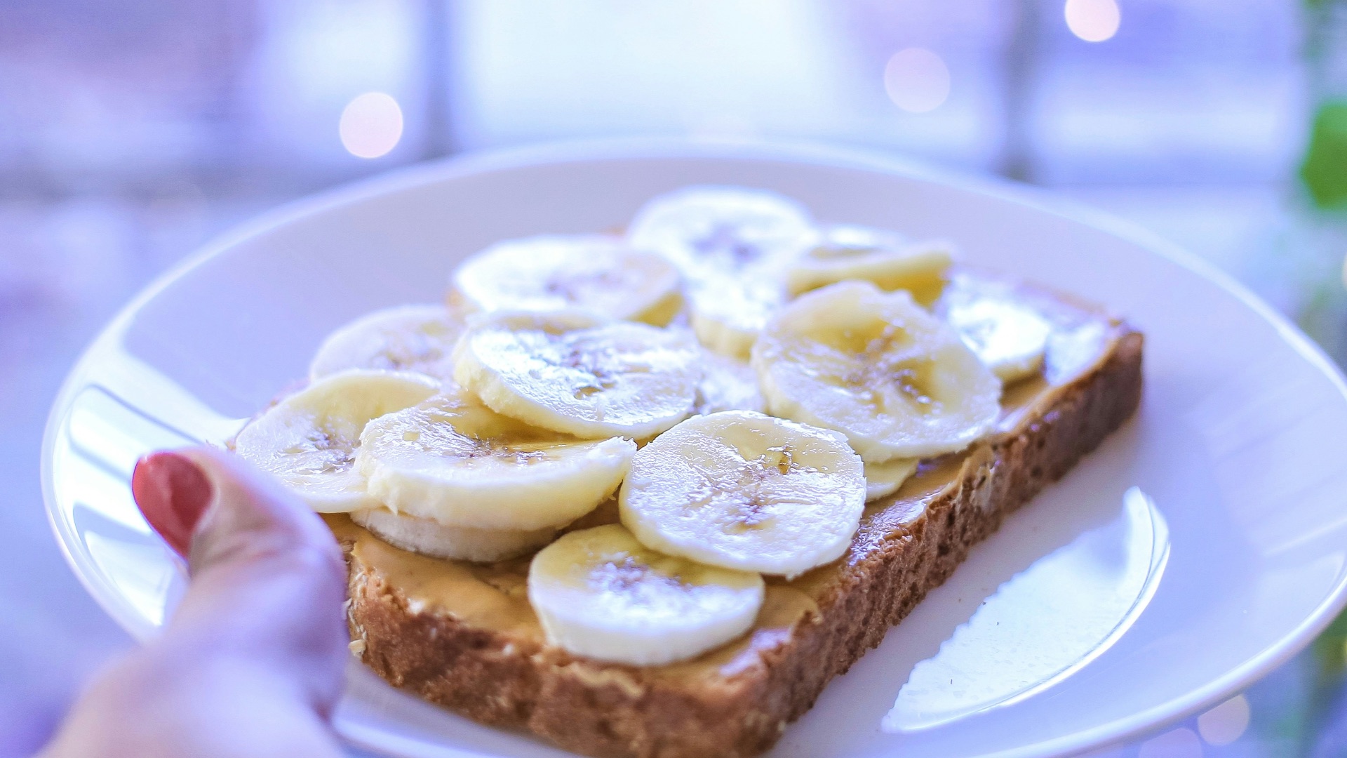 person holding brown bread on white ceramic plate