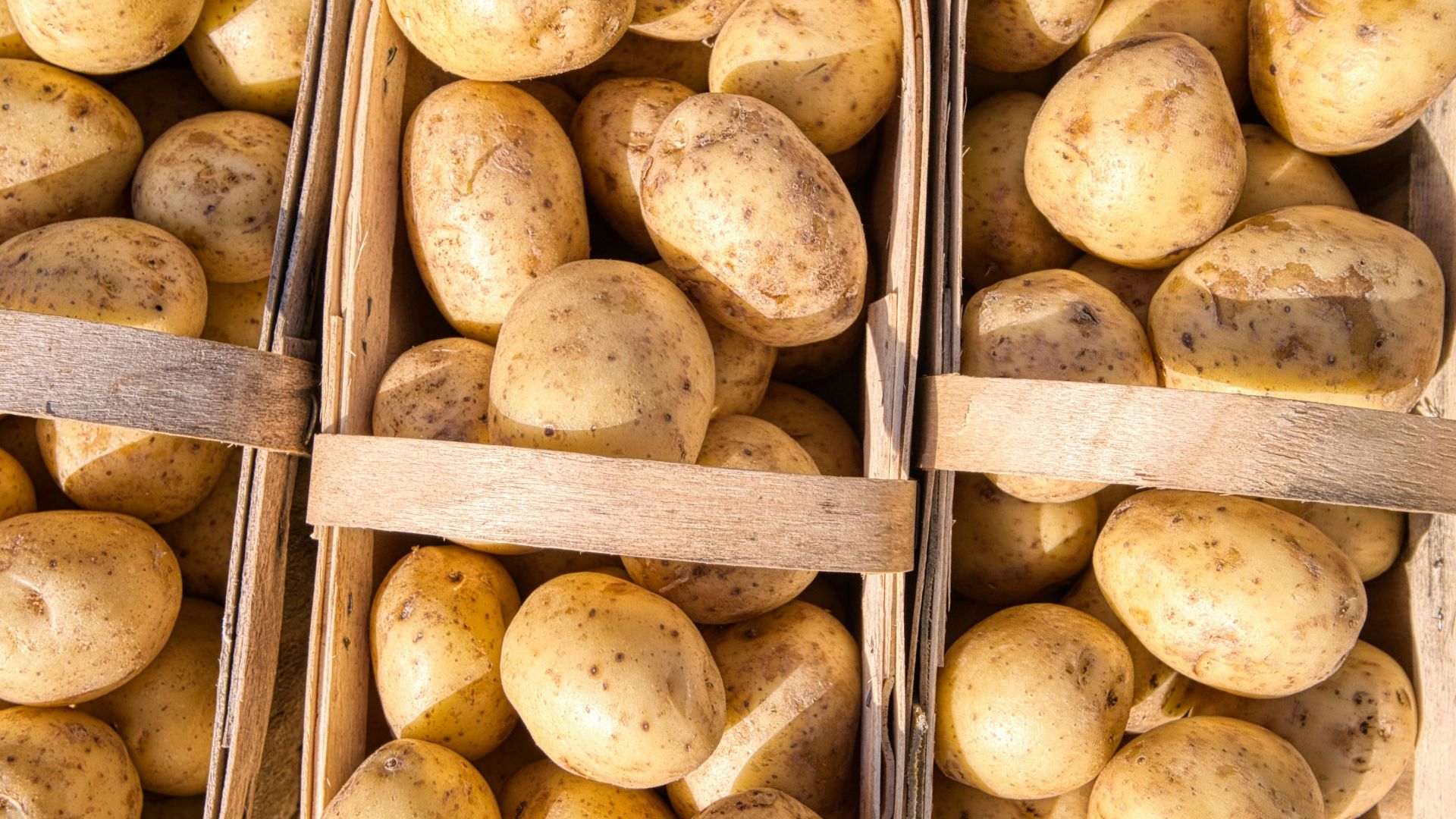 brown round food in stainless steel container