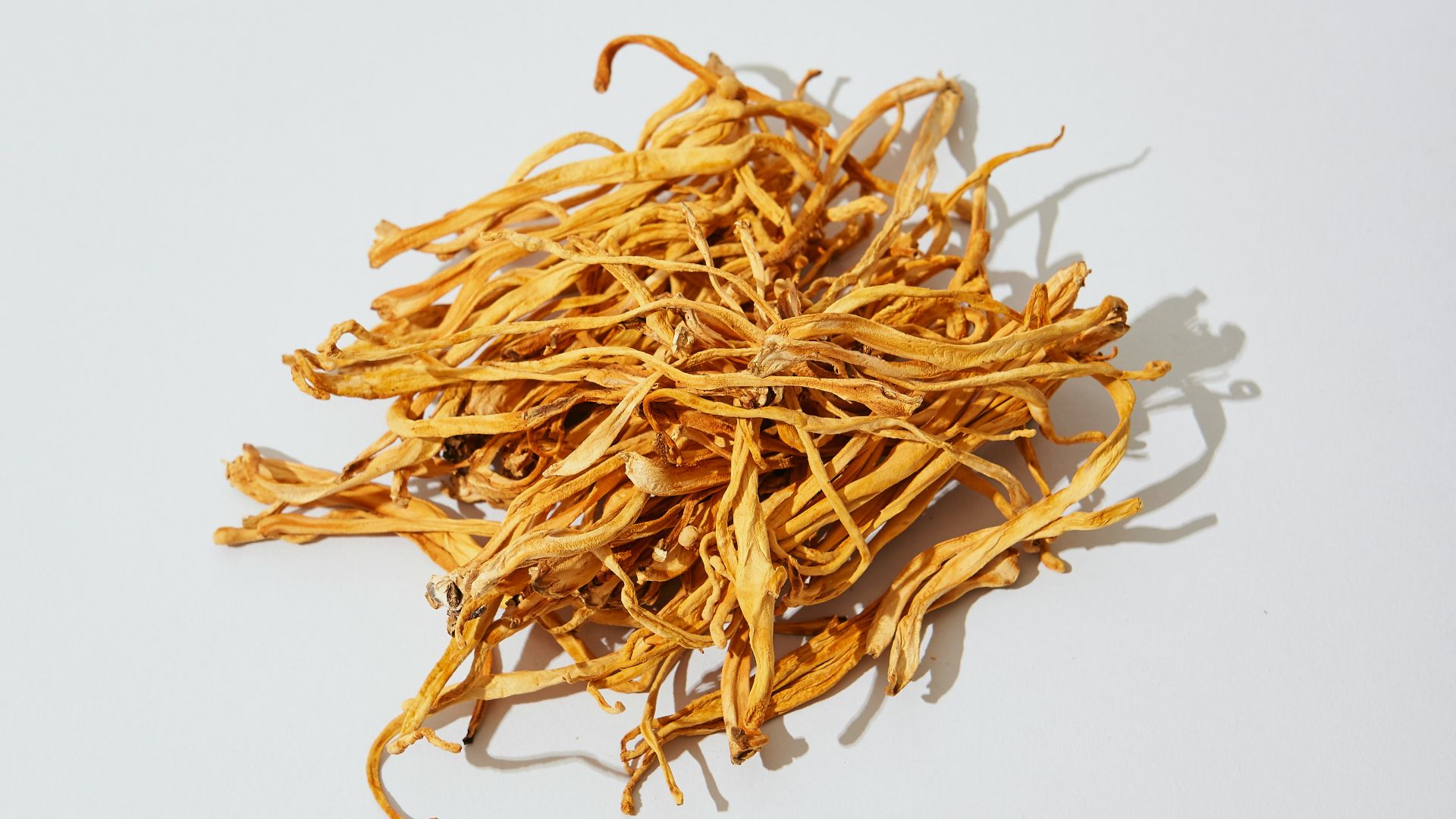 a pile of dried yellow flowers on a white surface