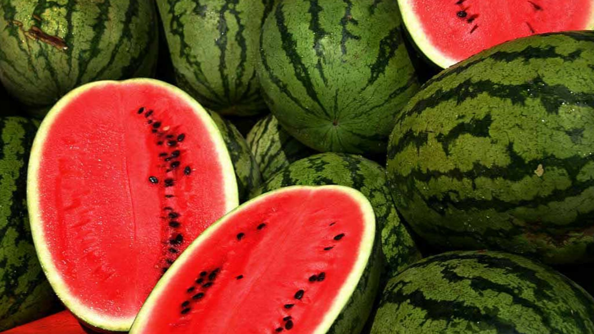 File:Watermelons.jpg