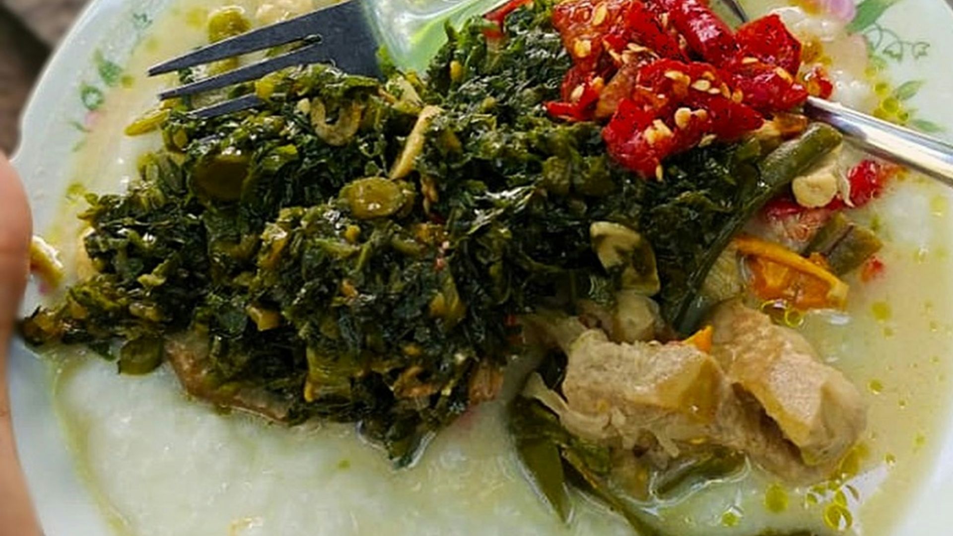 A person holding a plate with food on it