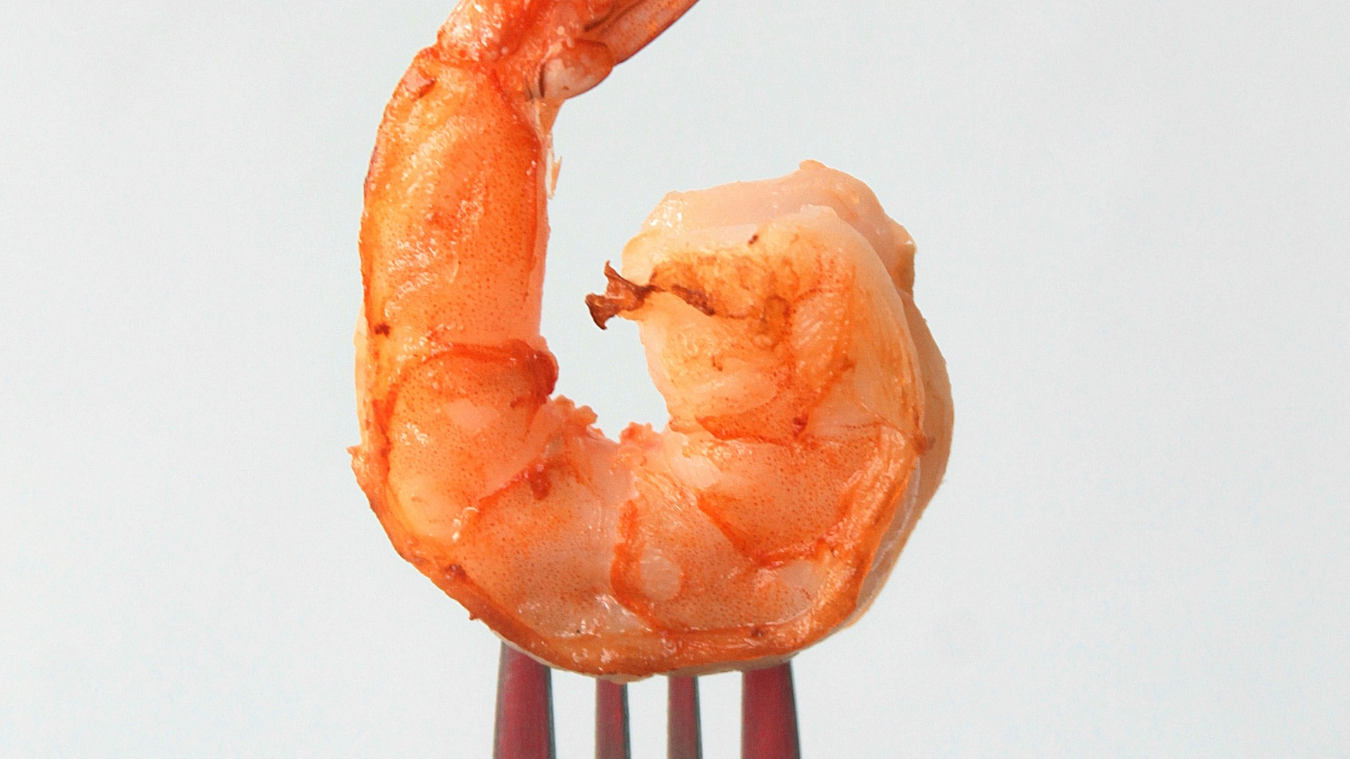 orange clay on stainless steel fork