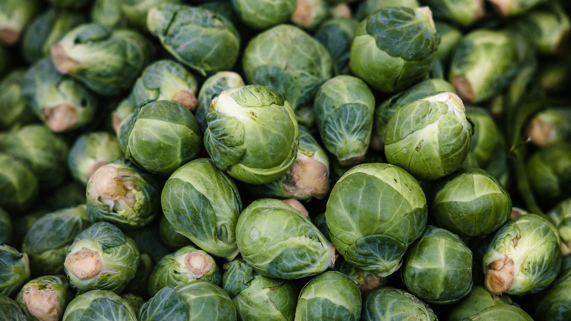 a pile of brussel sprouts sitting on top of each other