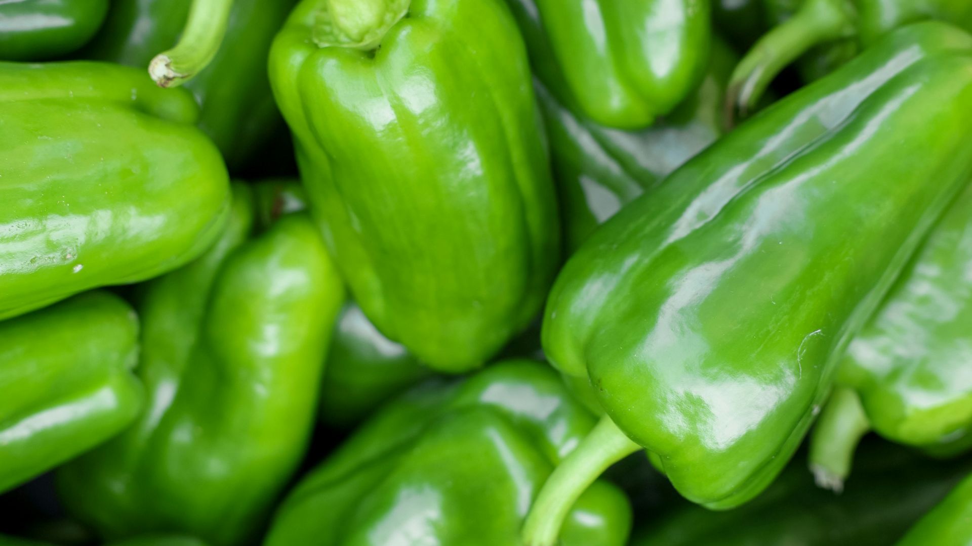 A pile of fresh green bell peppers.