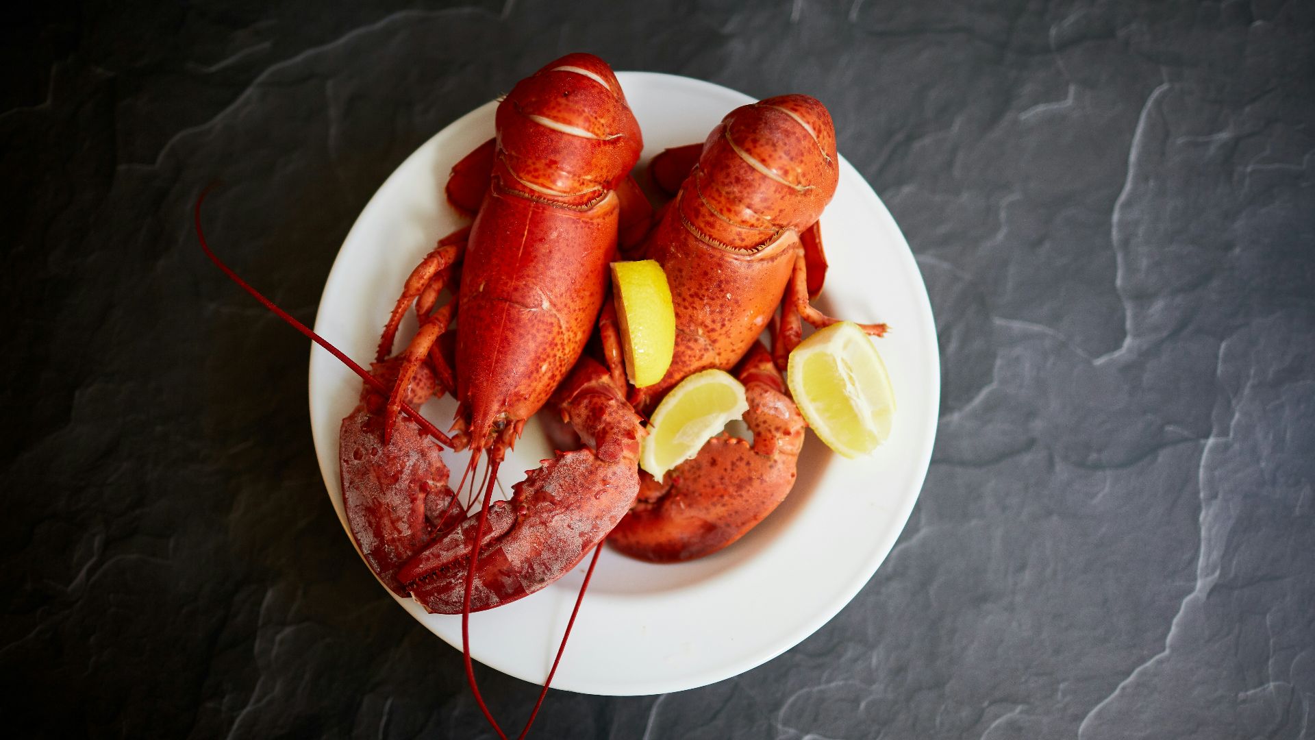 red lobster on white ceramic plate
