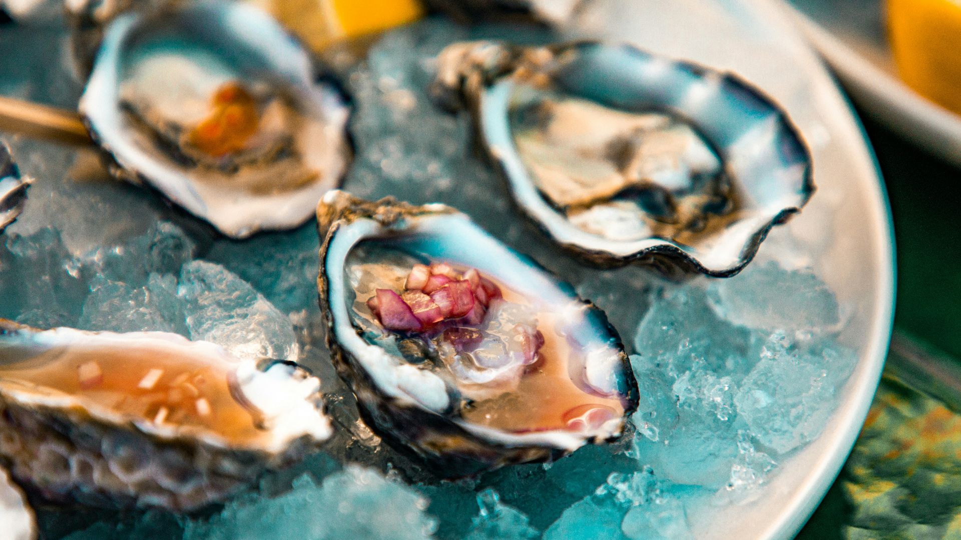 a plate of oysters on ice with lemon wedges