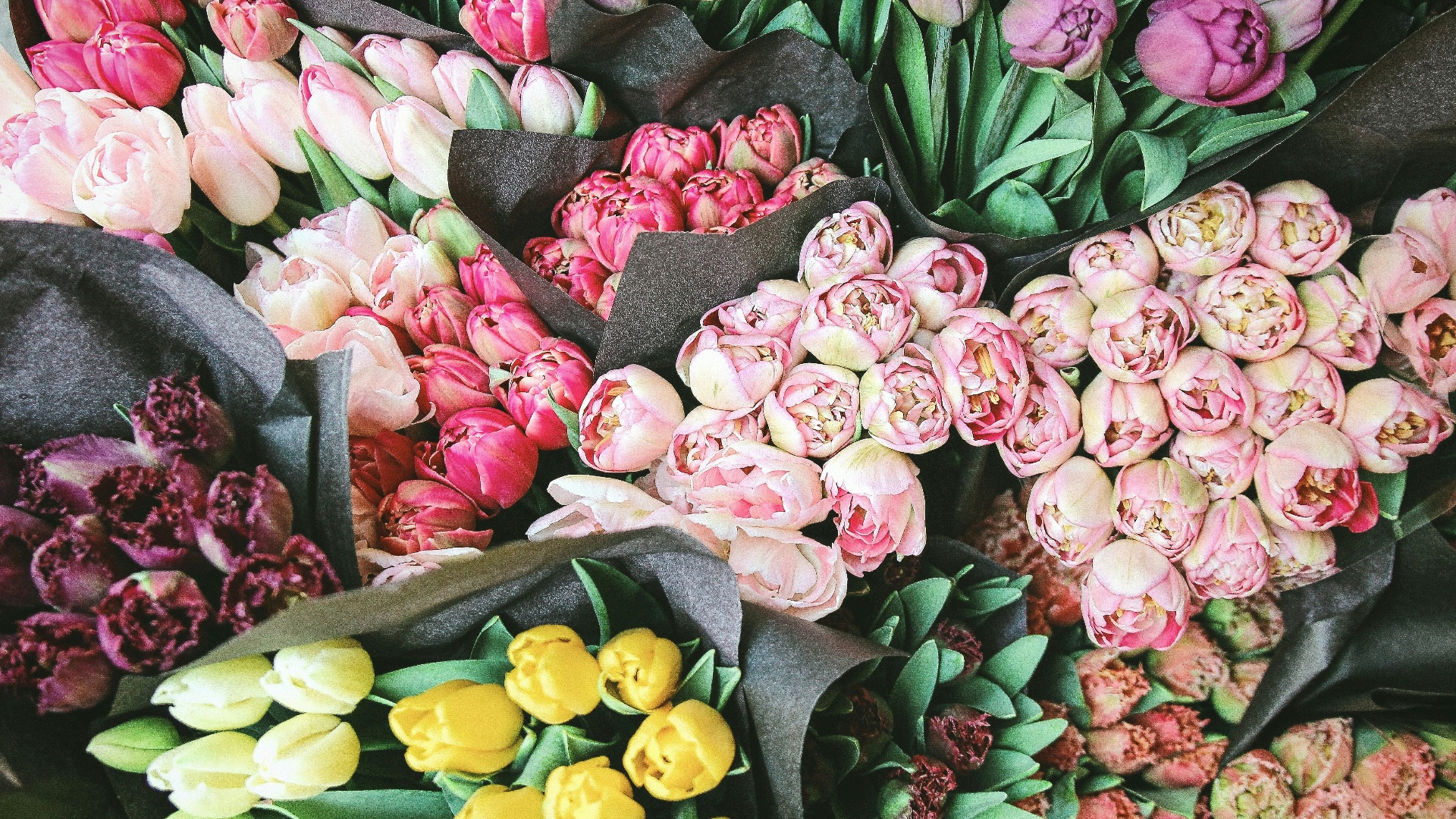 bouquet of assorted-color tulip lot