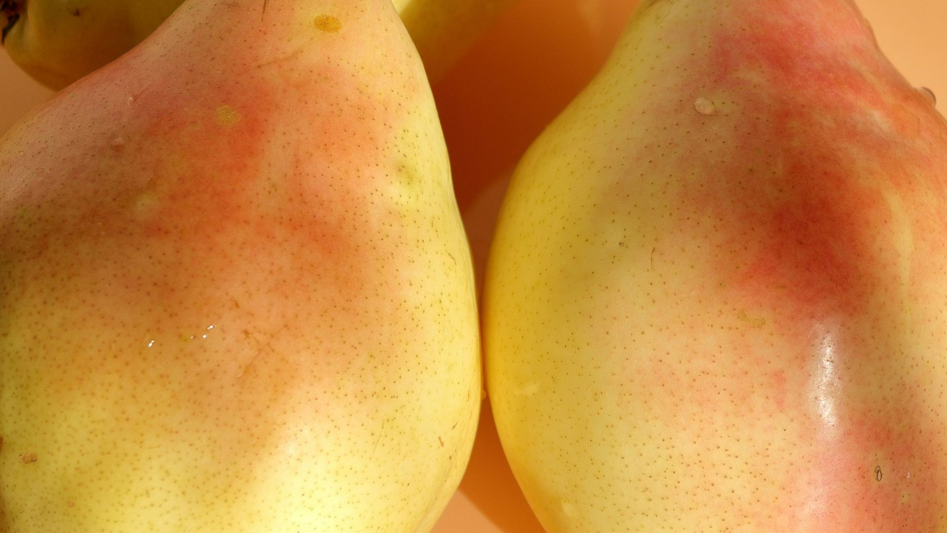 A couple of pears sitting on top of a plate