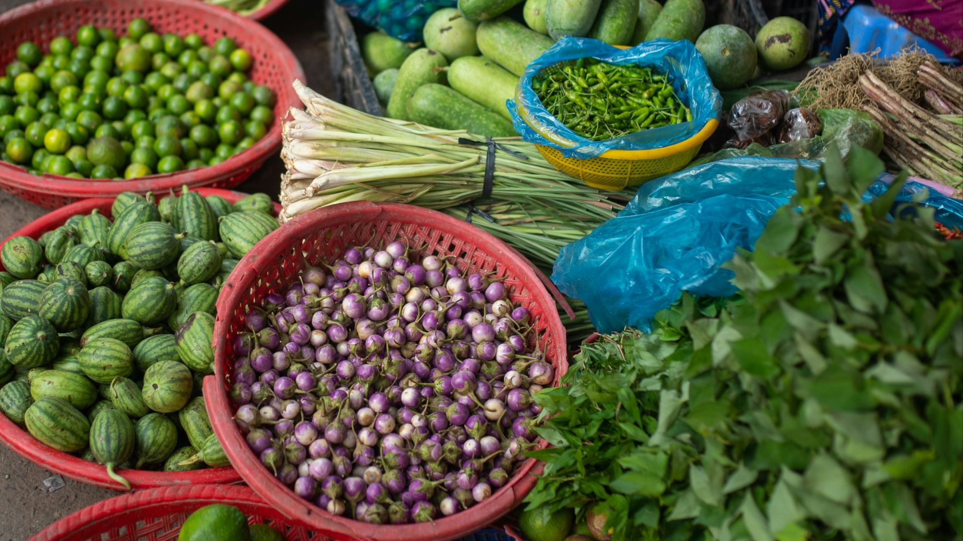 a table filled with lots of different types of vegetables