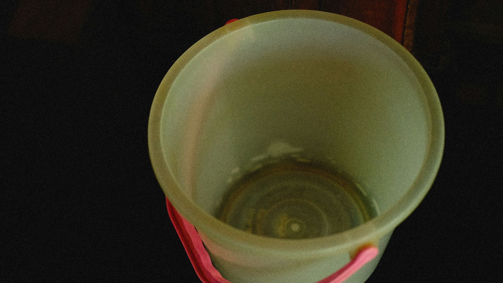 a cup with a liquid in it