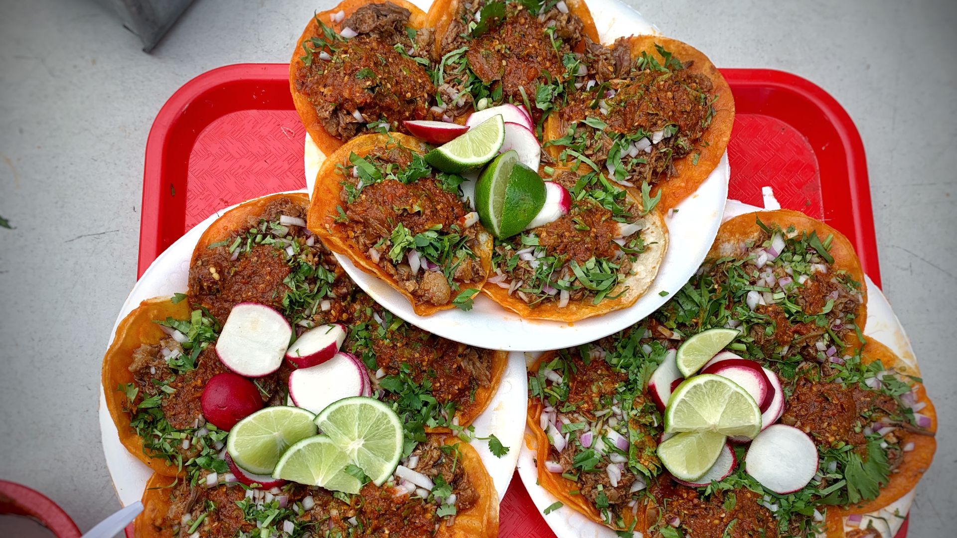 File:Birria tacos.jpg
