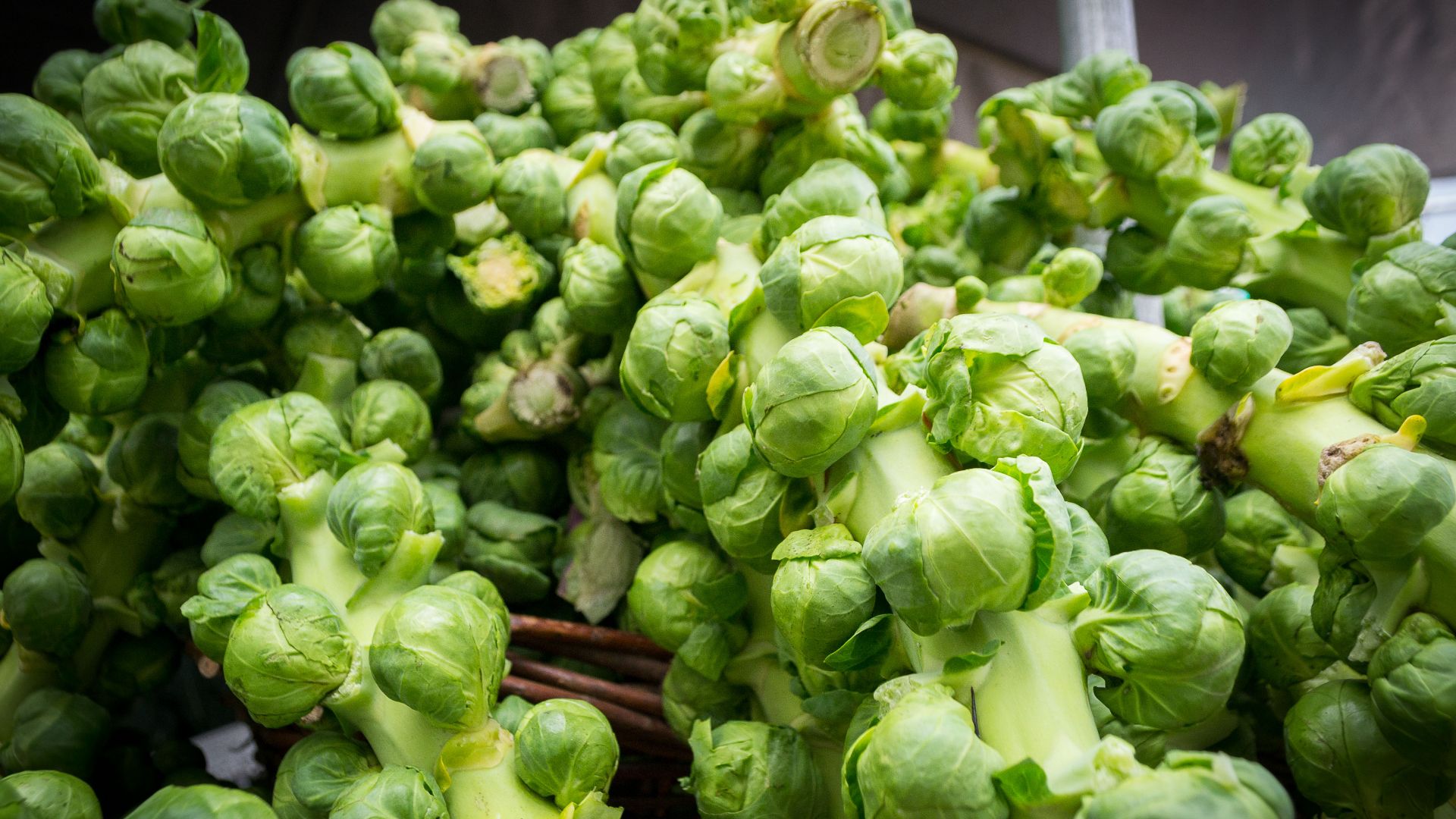 File:Brussels Sprouts.jpg