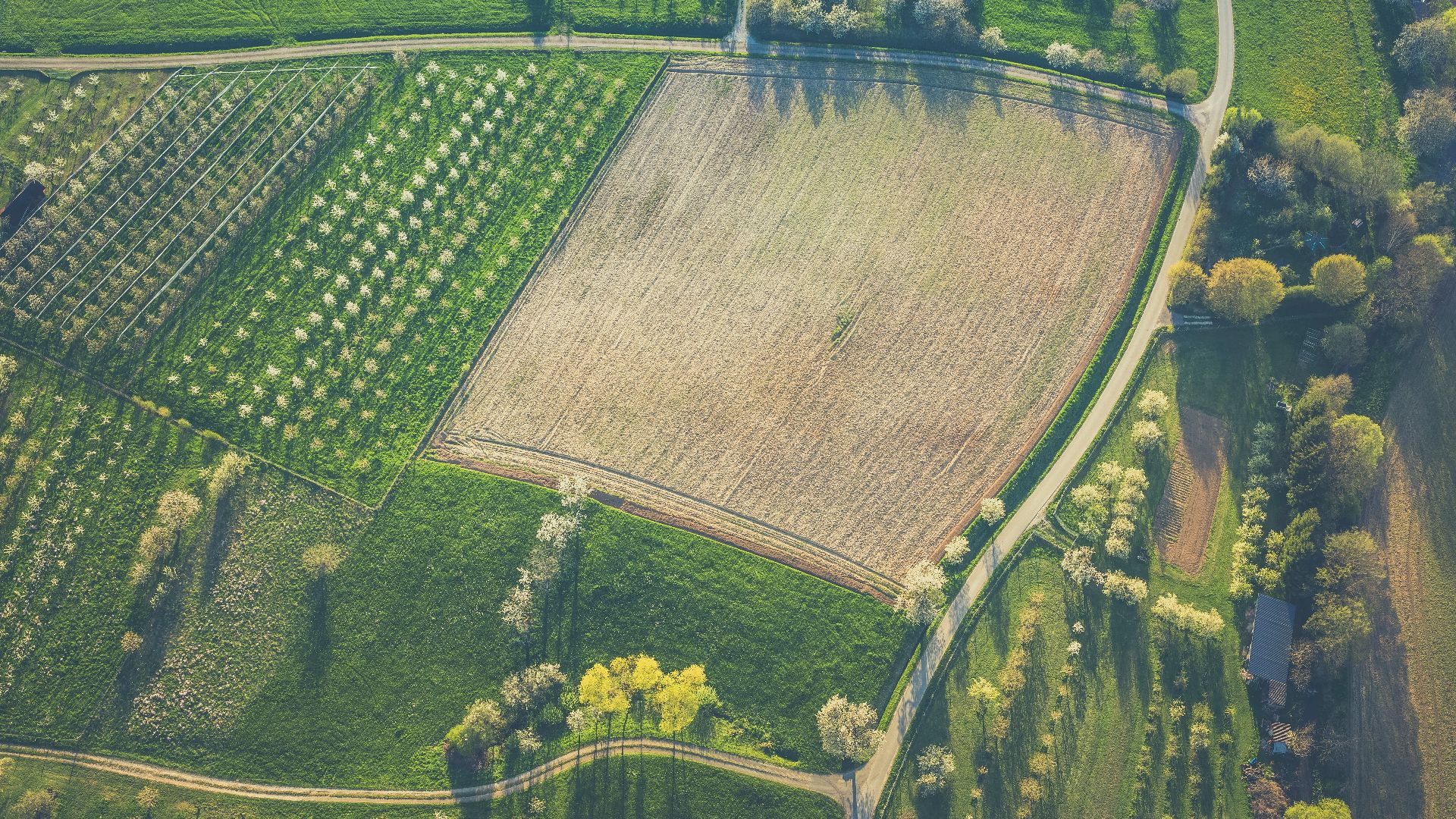 bird's eye view of field