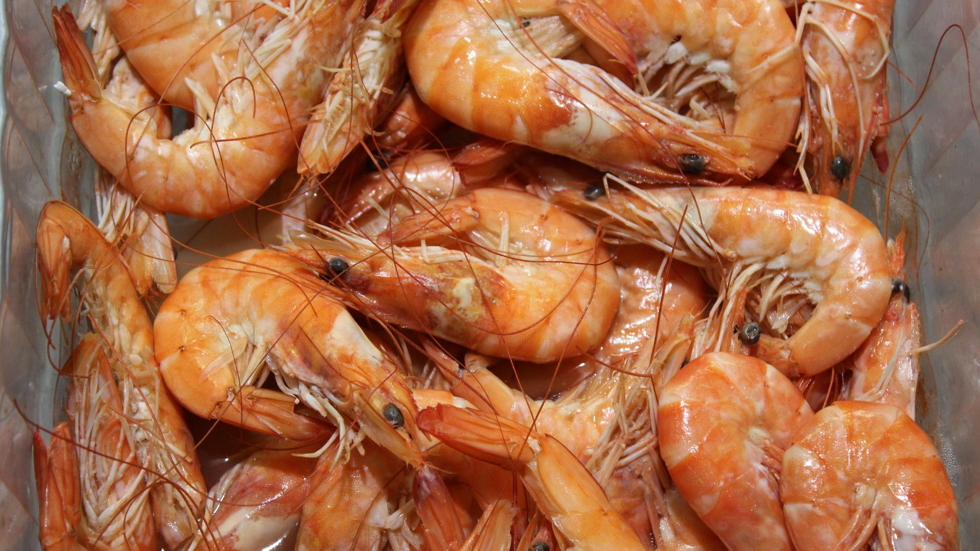 a plastic container filled with lots of shrimp