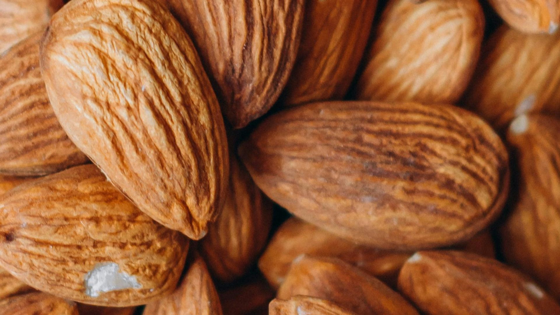 close up photo of brown almond nuts