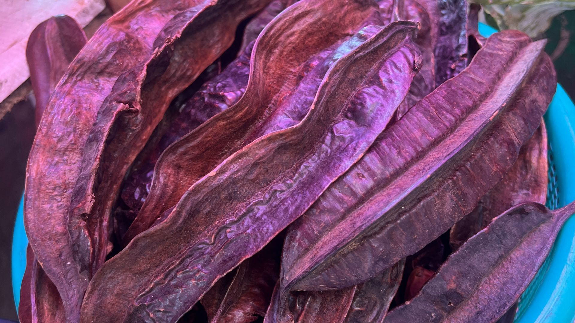 File:Picture of Carob.jpg