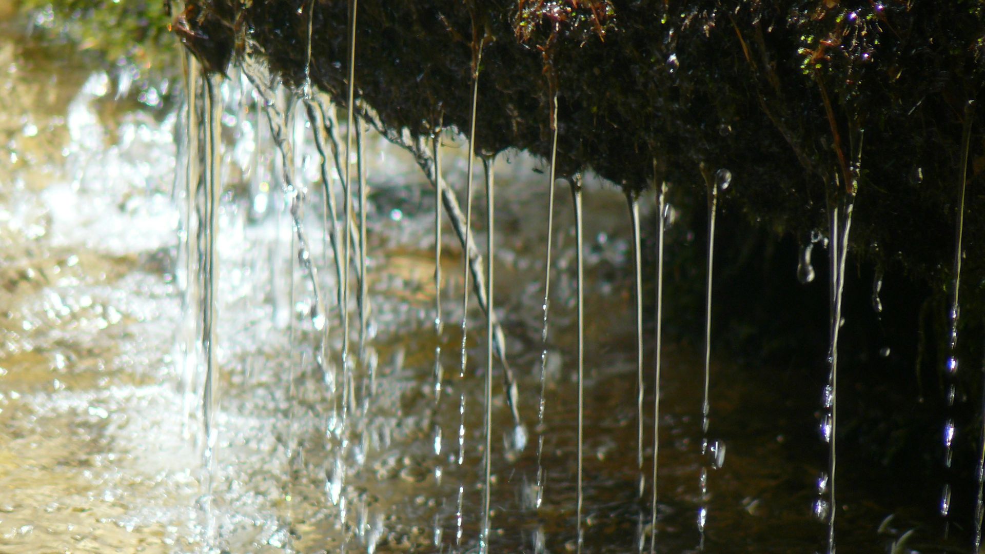 closeup photo of raindrops