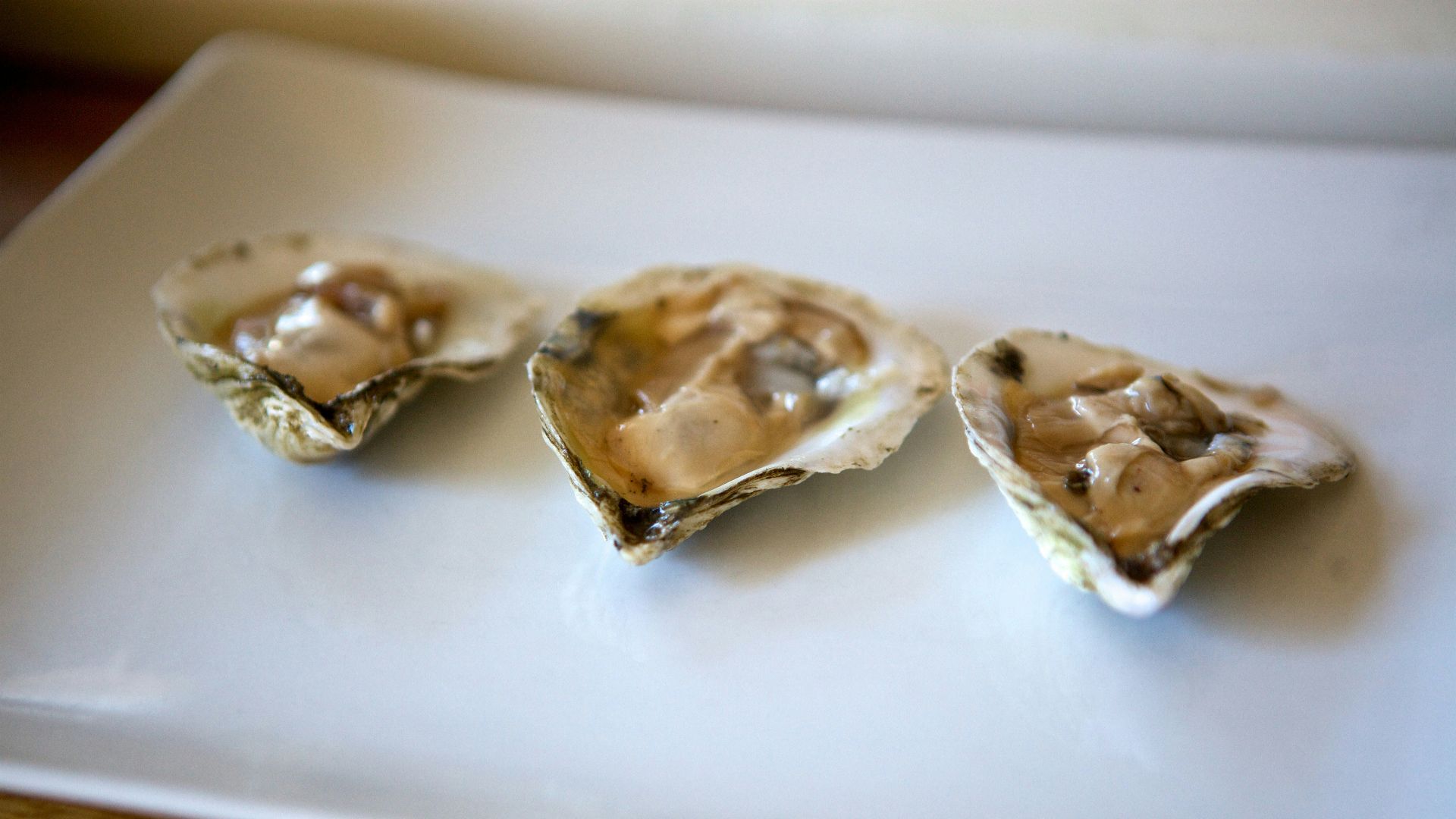 three brown and white pastries on white ceramic plate