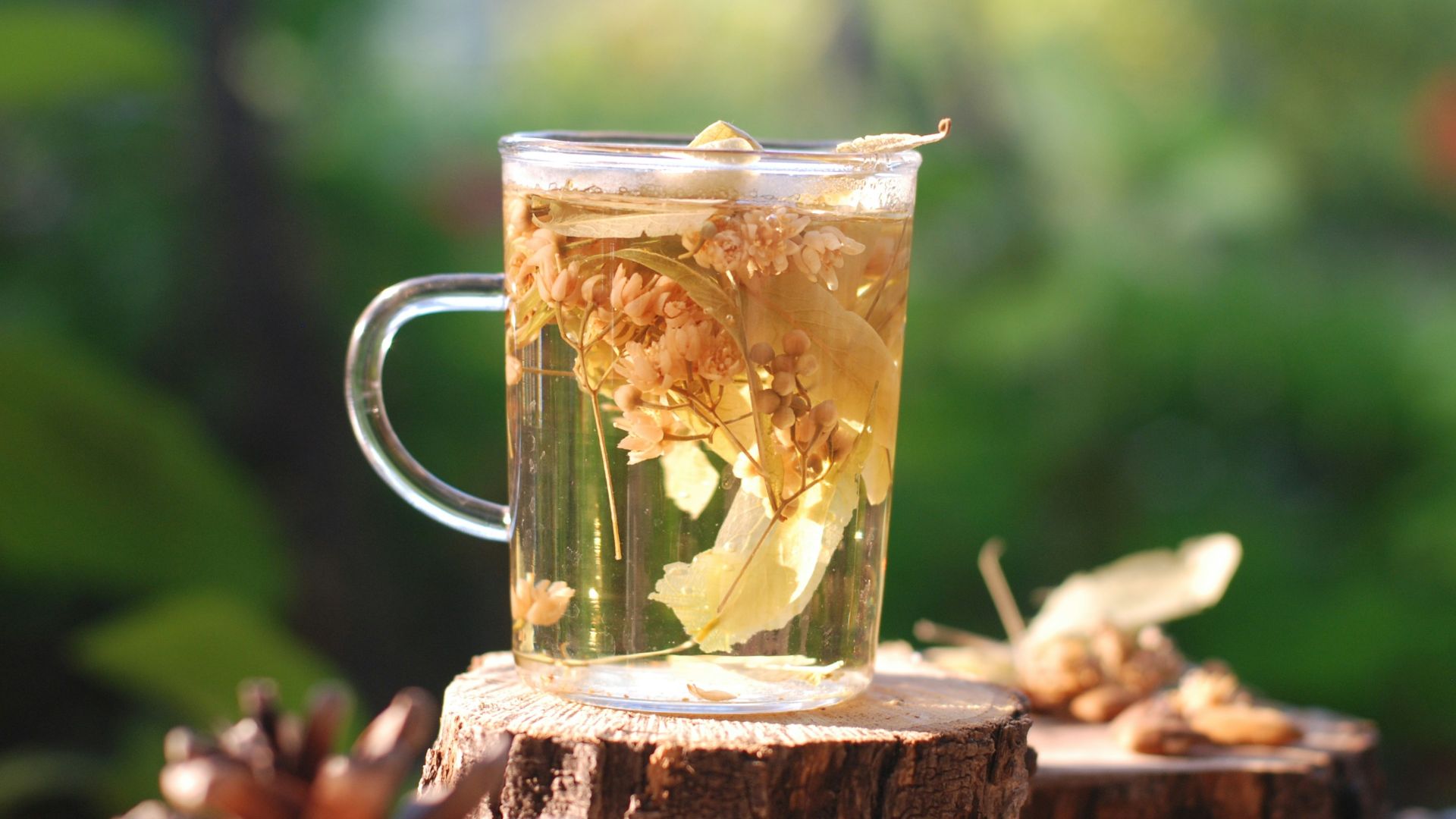 clear glass mug with yellow liquid on brown wooden log
