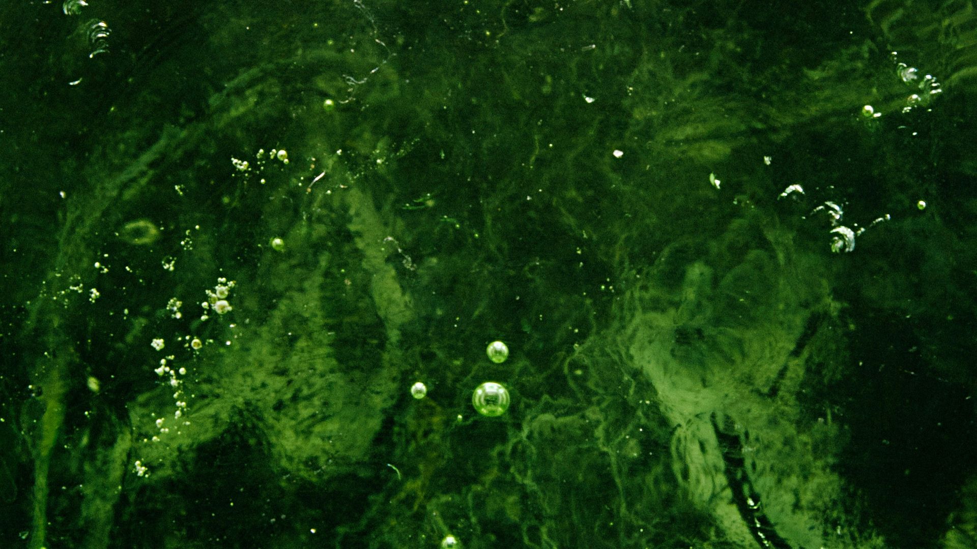 green and black abstract painting