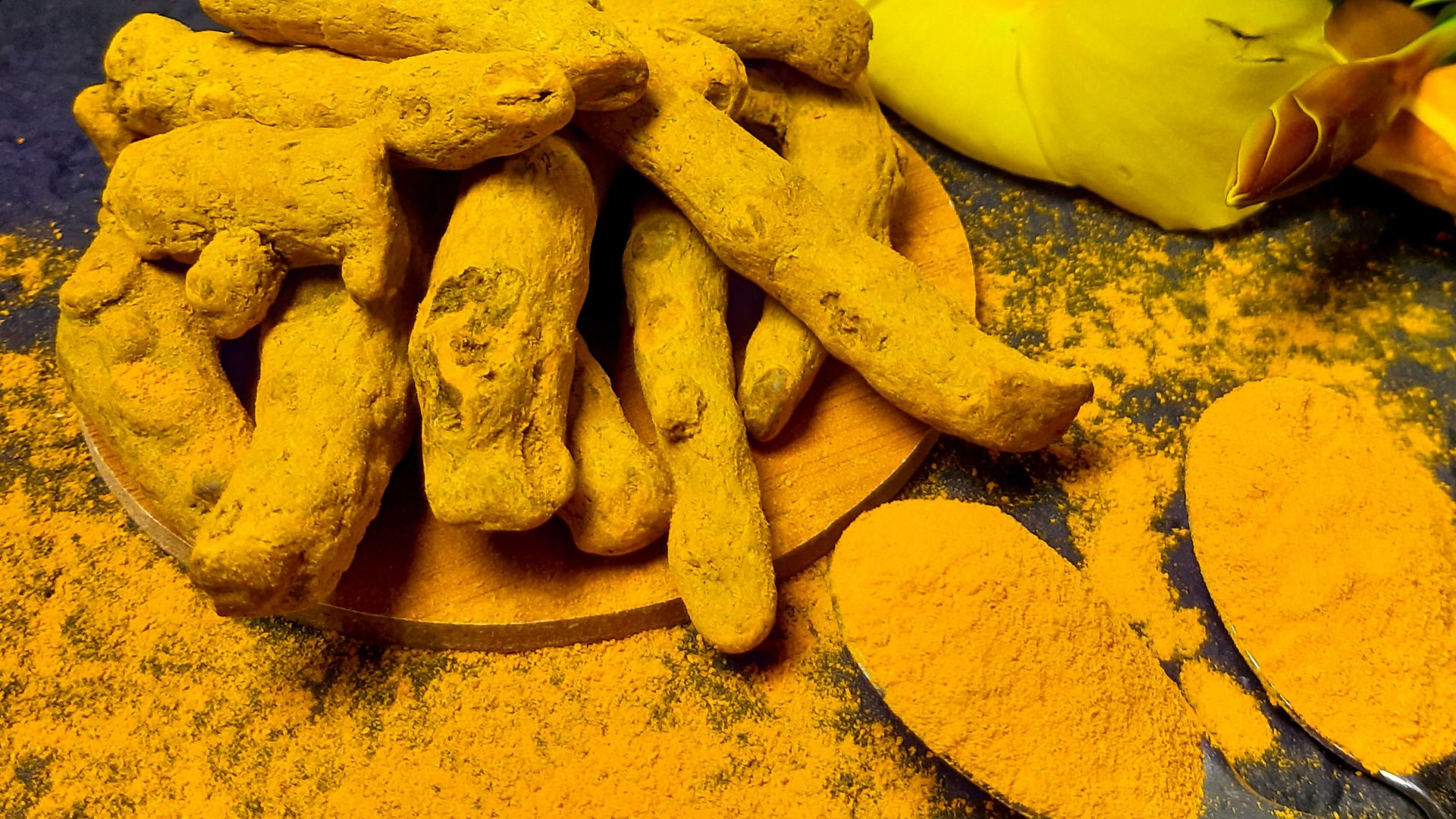 yellow flower on gray surface