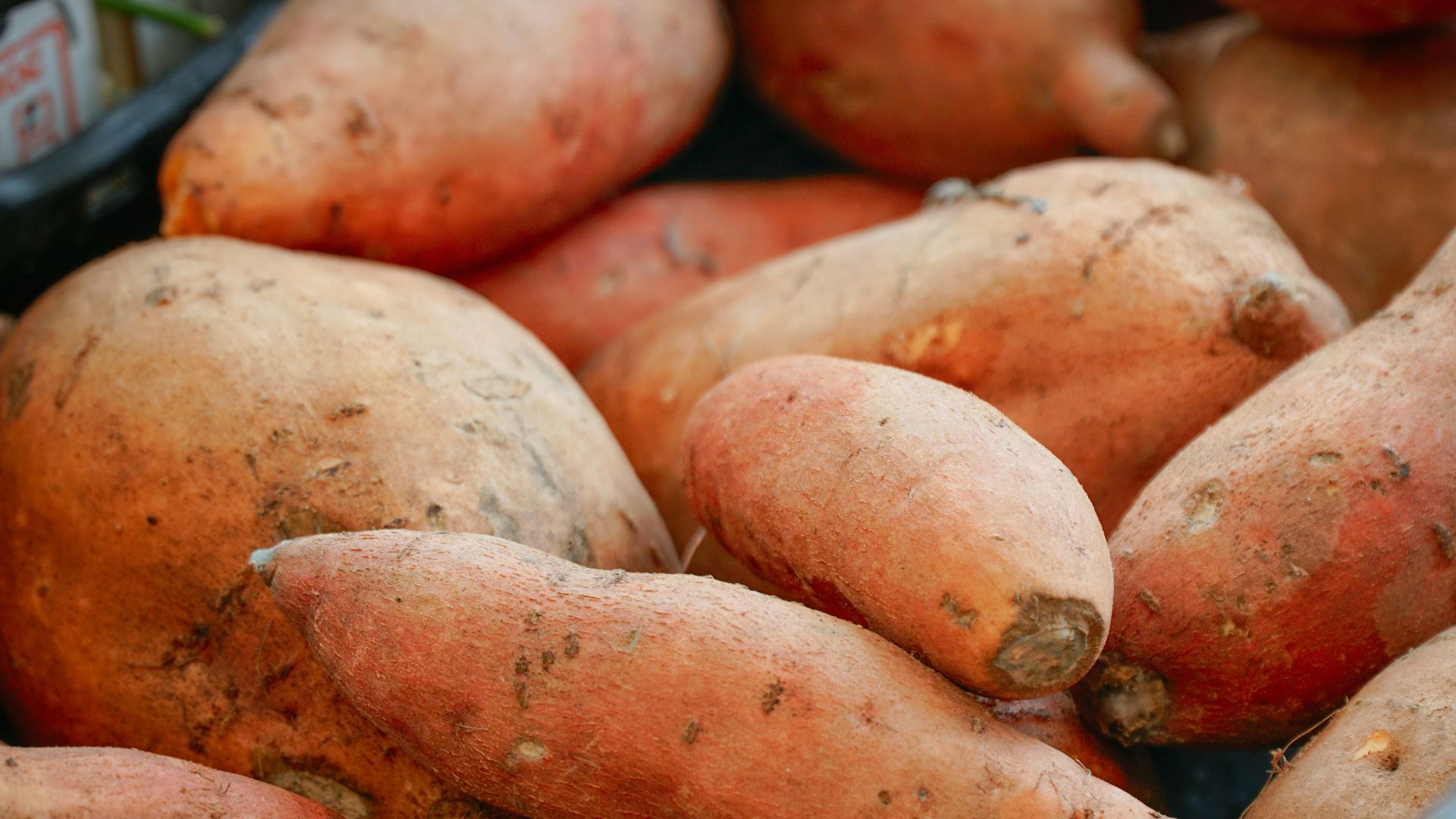 A pile of sweet potatoes in a basket.