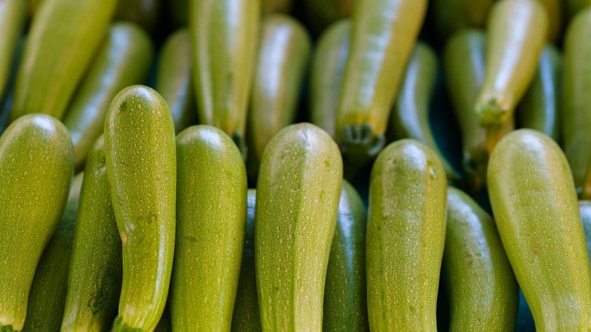a bunch of green cucumbers sitting next to each other