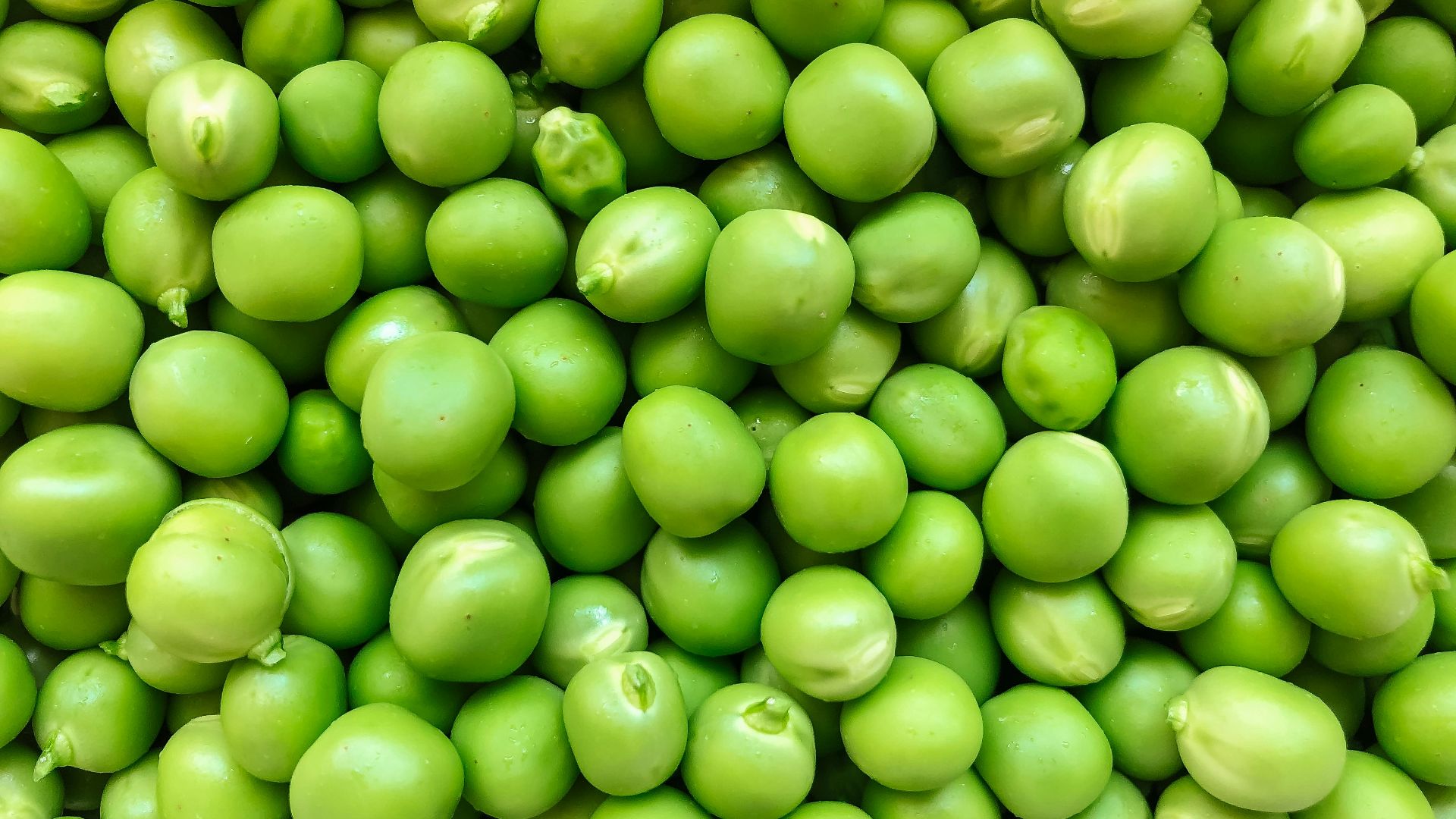 green round fruits in close up photography