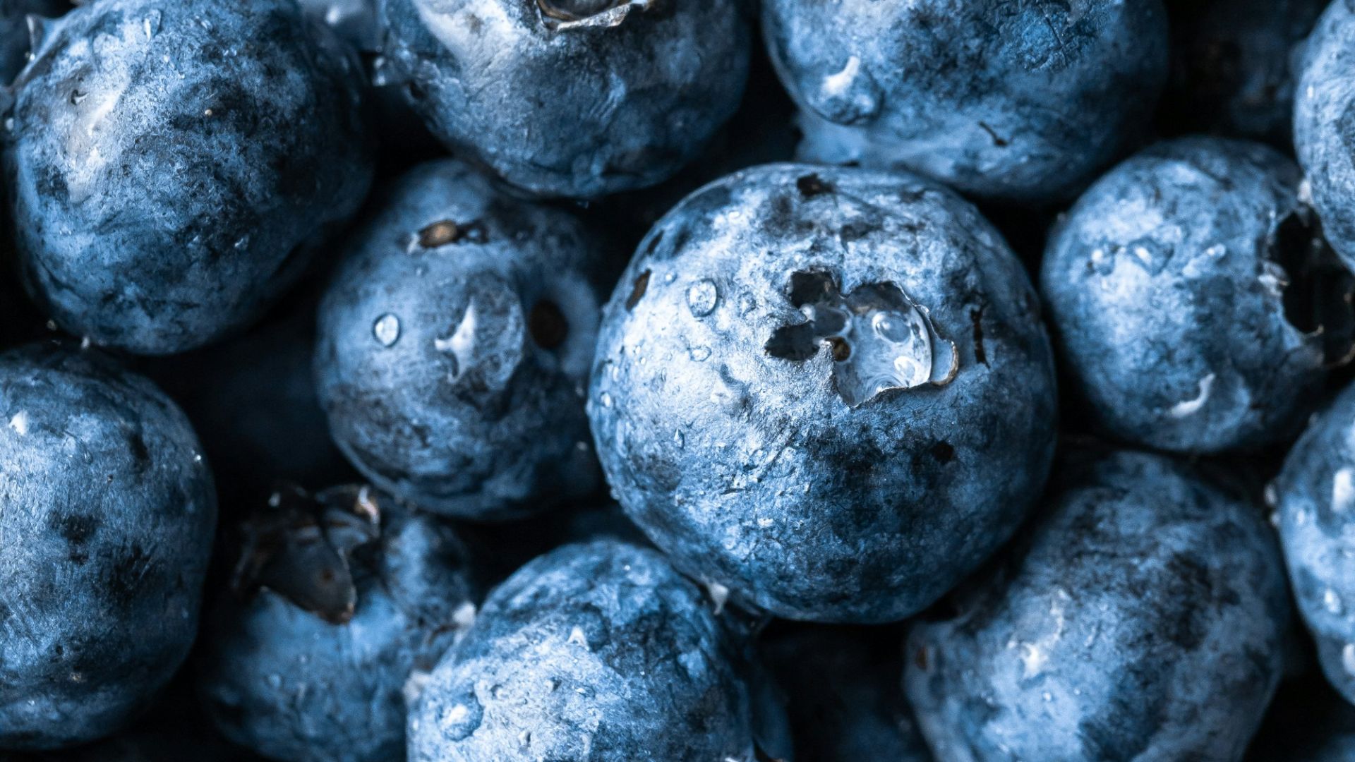 grayscale photography of round fruits