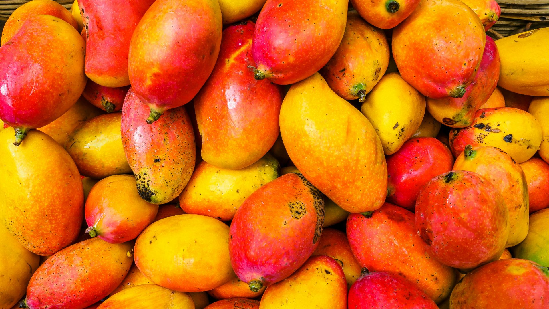 yellow and red fruit lot