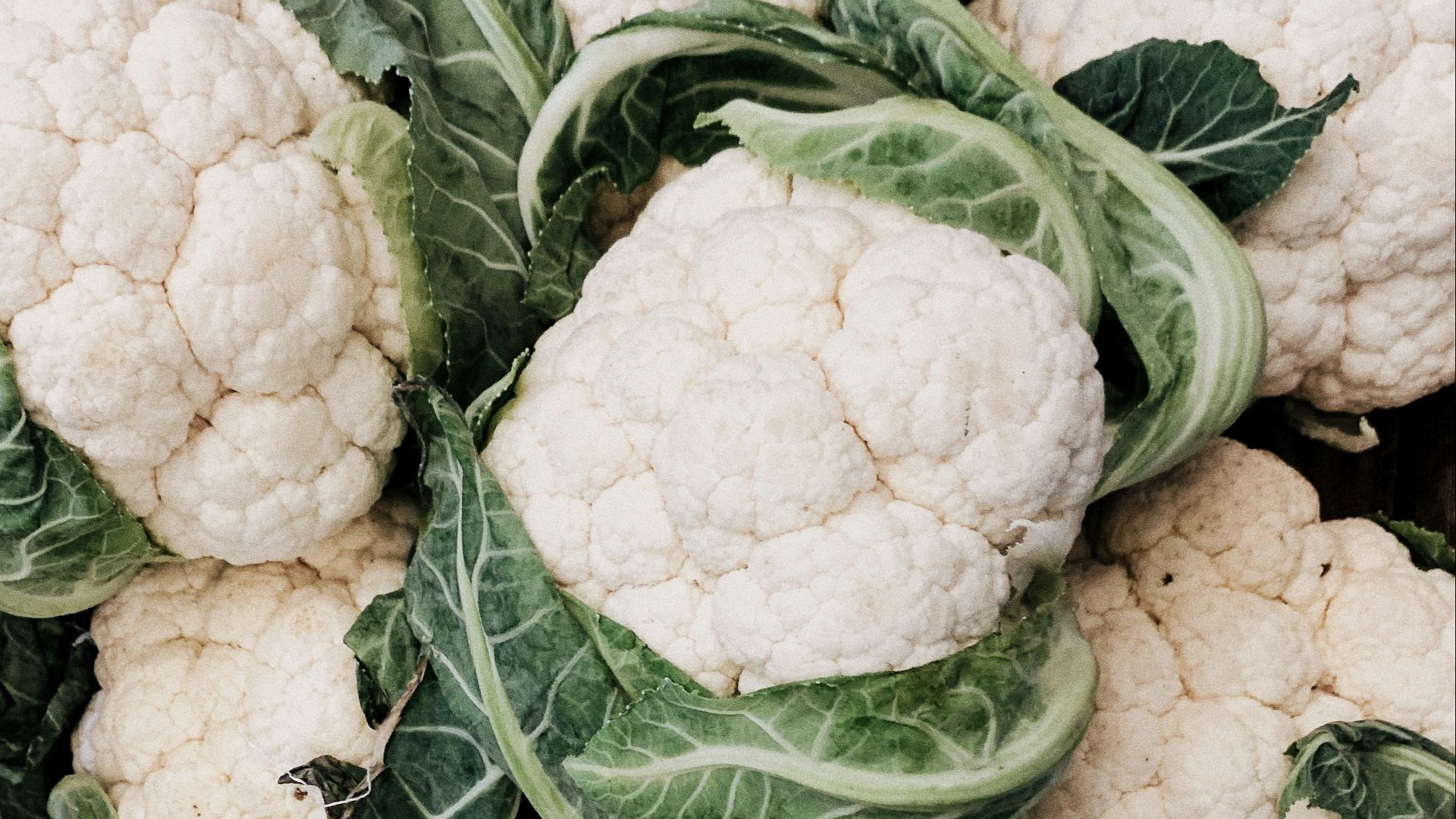 cauliflower lot