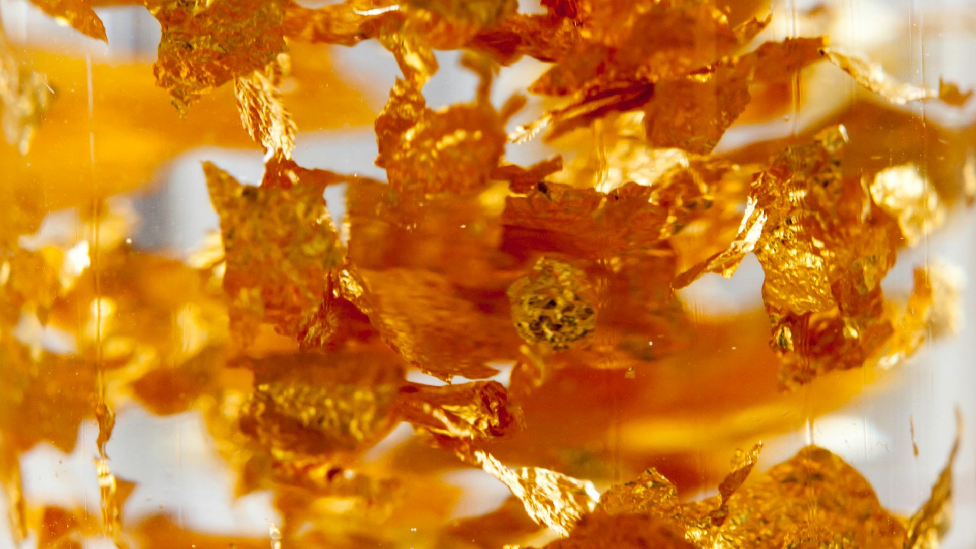 a close up of a bunch of orange flowers